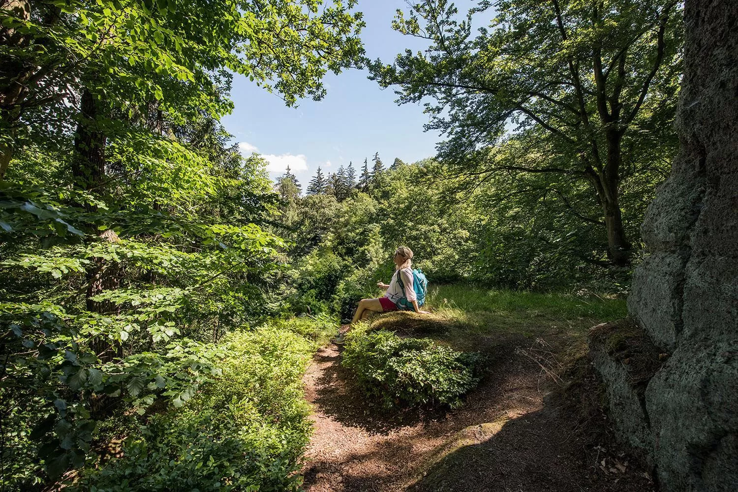 Spring in Suites MITTE - Aparthotel