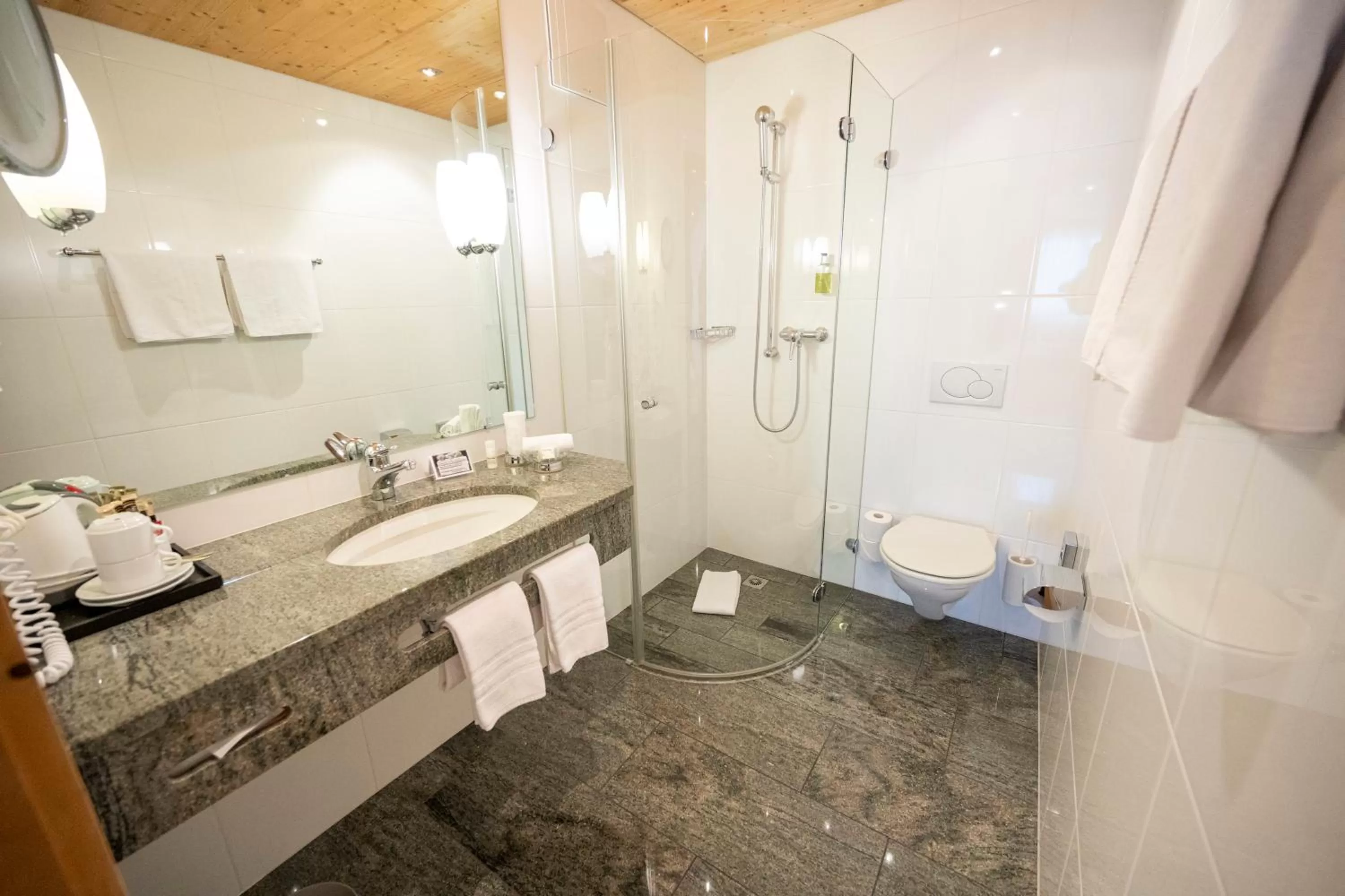 Shower, Bathroom in Hotel Engiadina