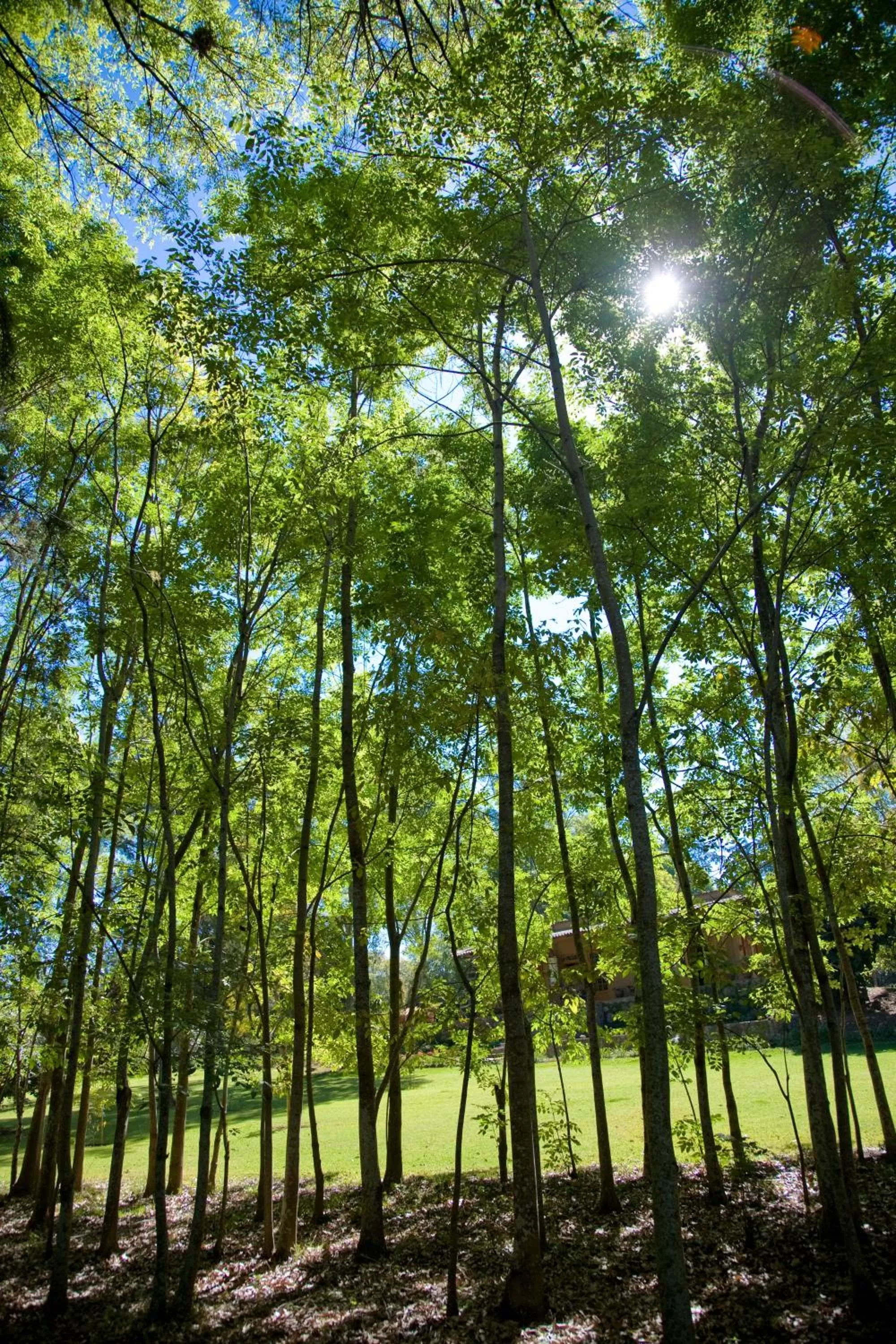 Day in Hotel Rancho San Cayetano