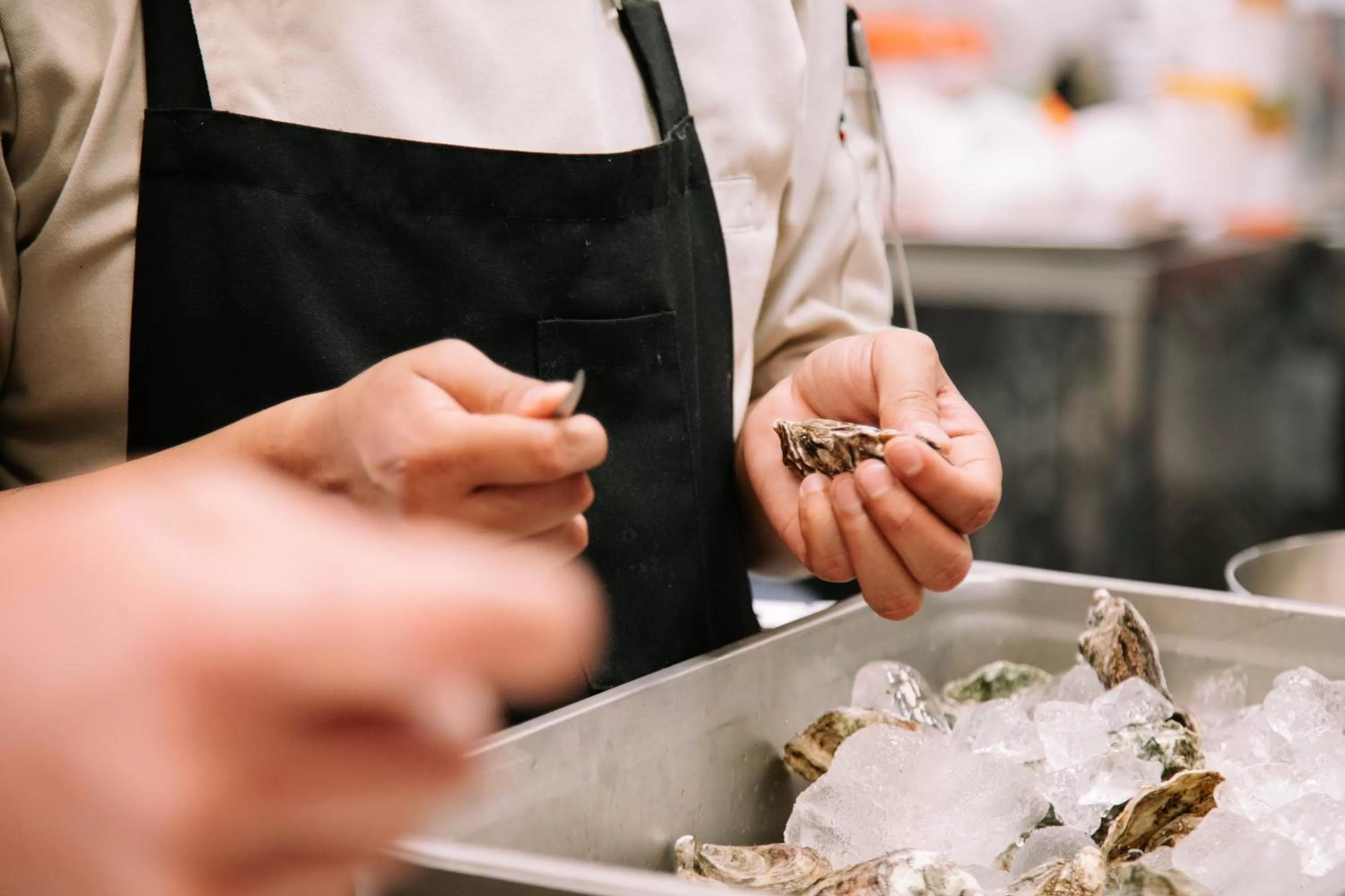 Restaurant/places to eat in Hotel Amatte San Miguel de Allende