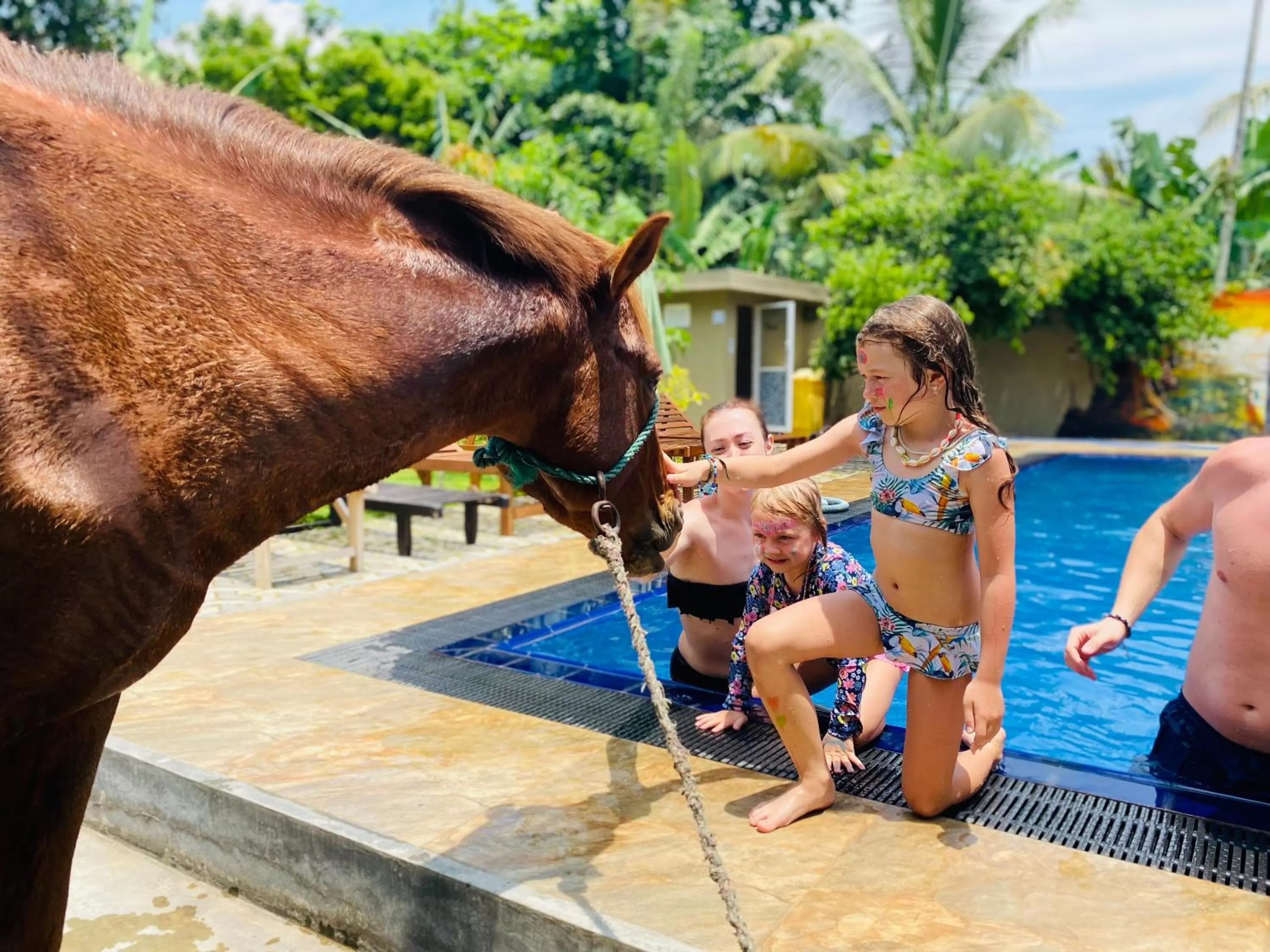 Day in The Kingslayer Resort