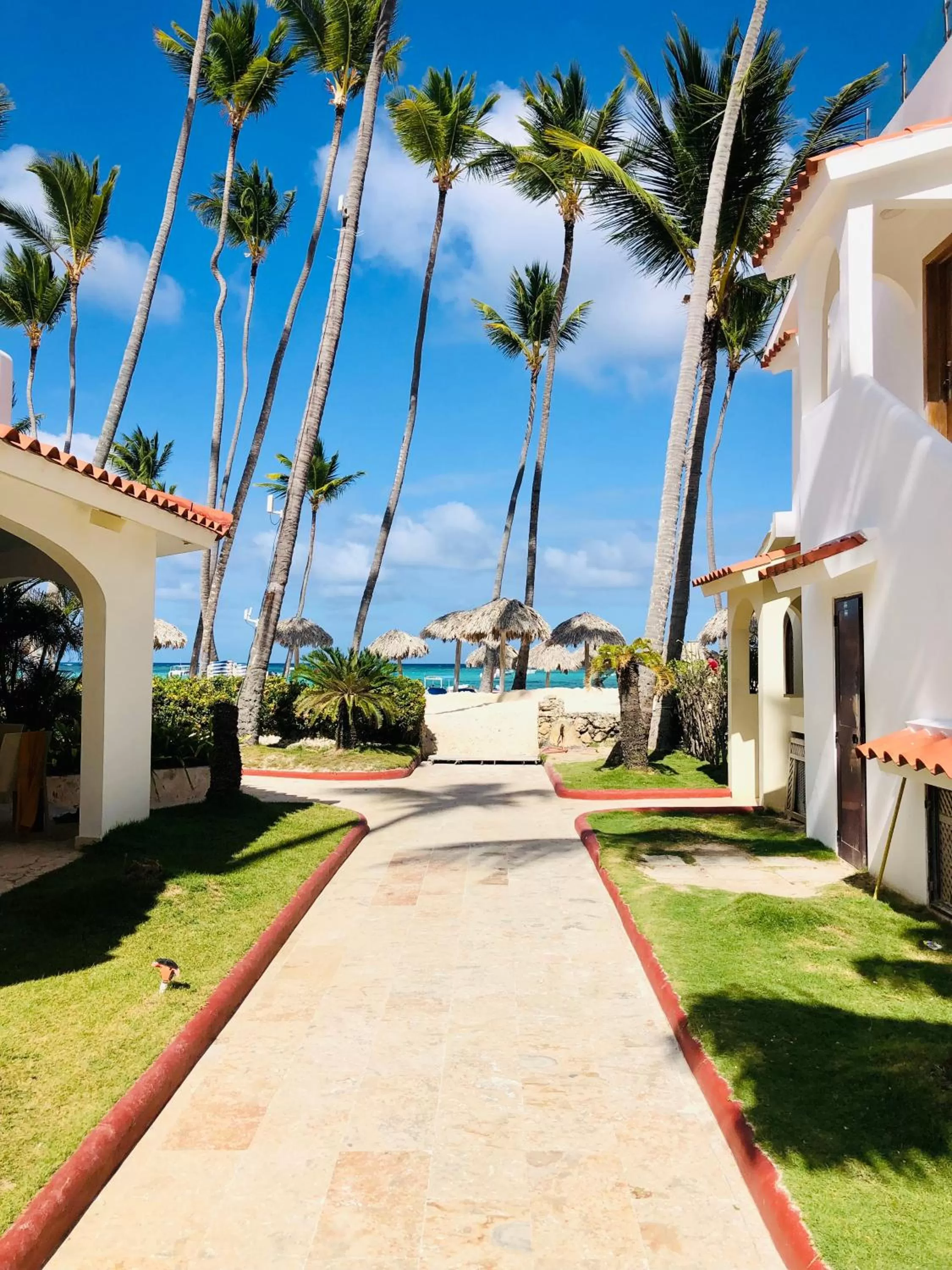 Beach, Garden in Los Corales Luxury Villas Beach Club and Spa