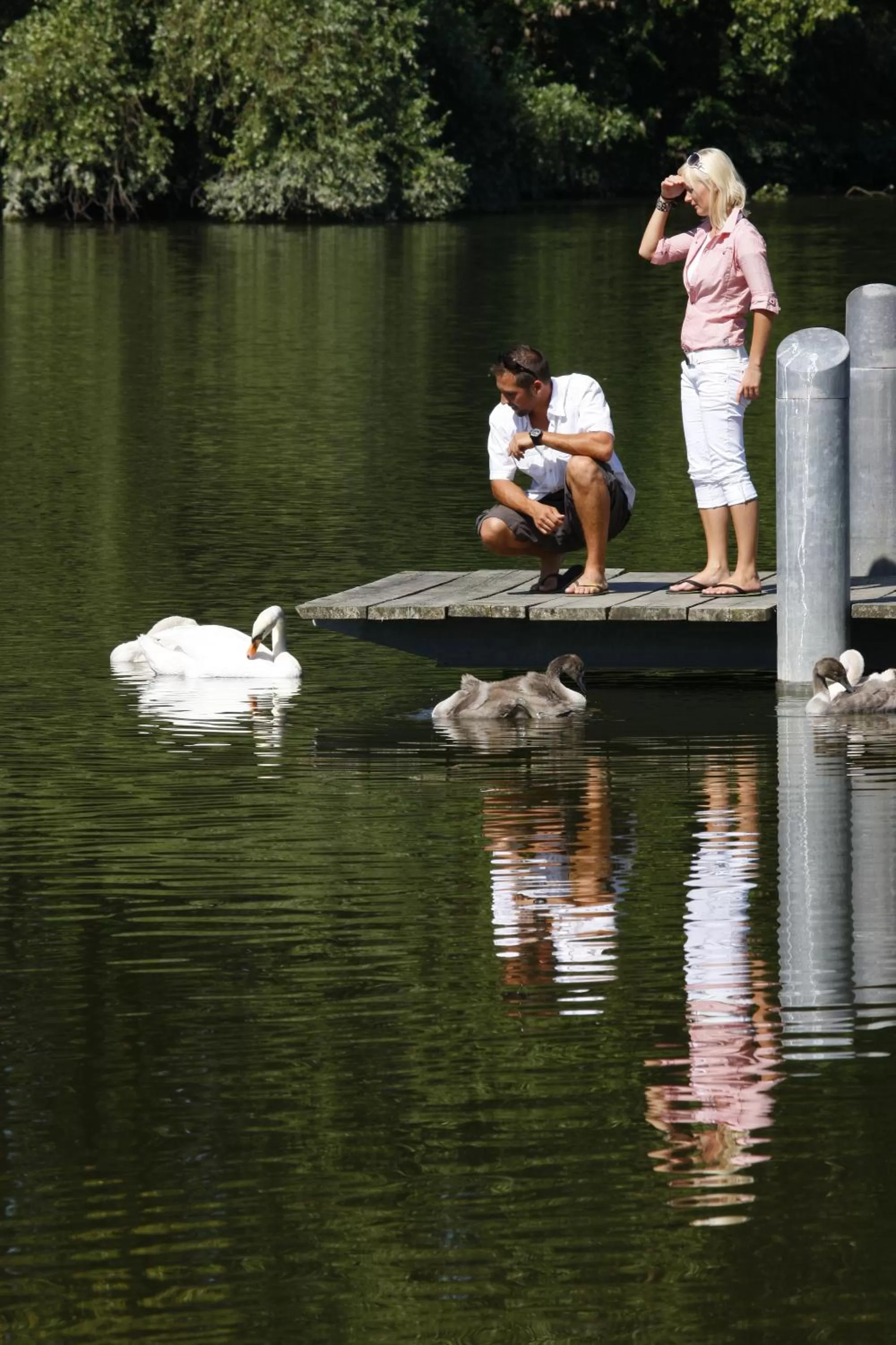 Area and facilities in Hotel Restaurant Zum Goldenen Anker mit Hallenbad & Wellnessbereich