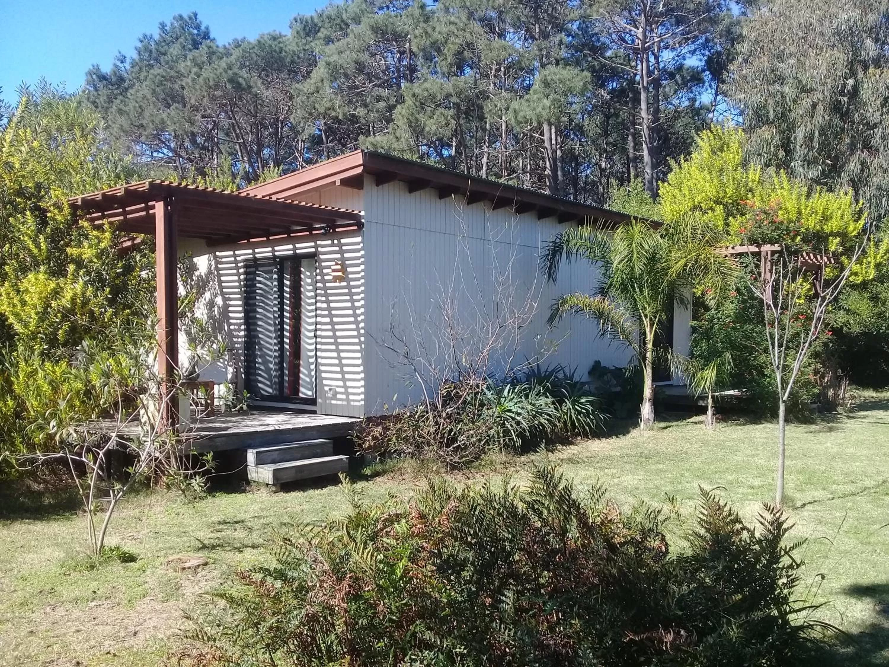 Patio, Property Building in La Maison Suites & Gastronomía