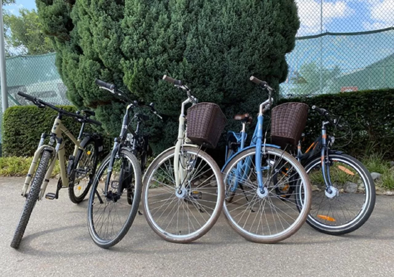 Cycling in Scheck Hotel