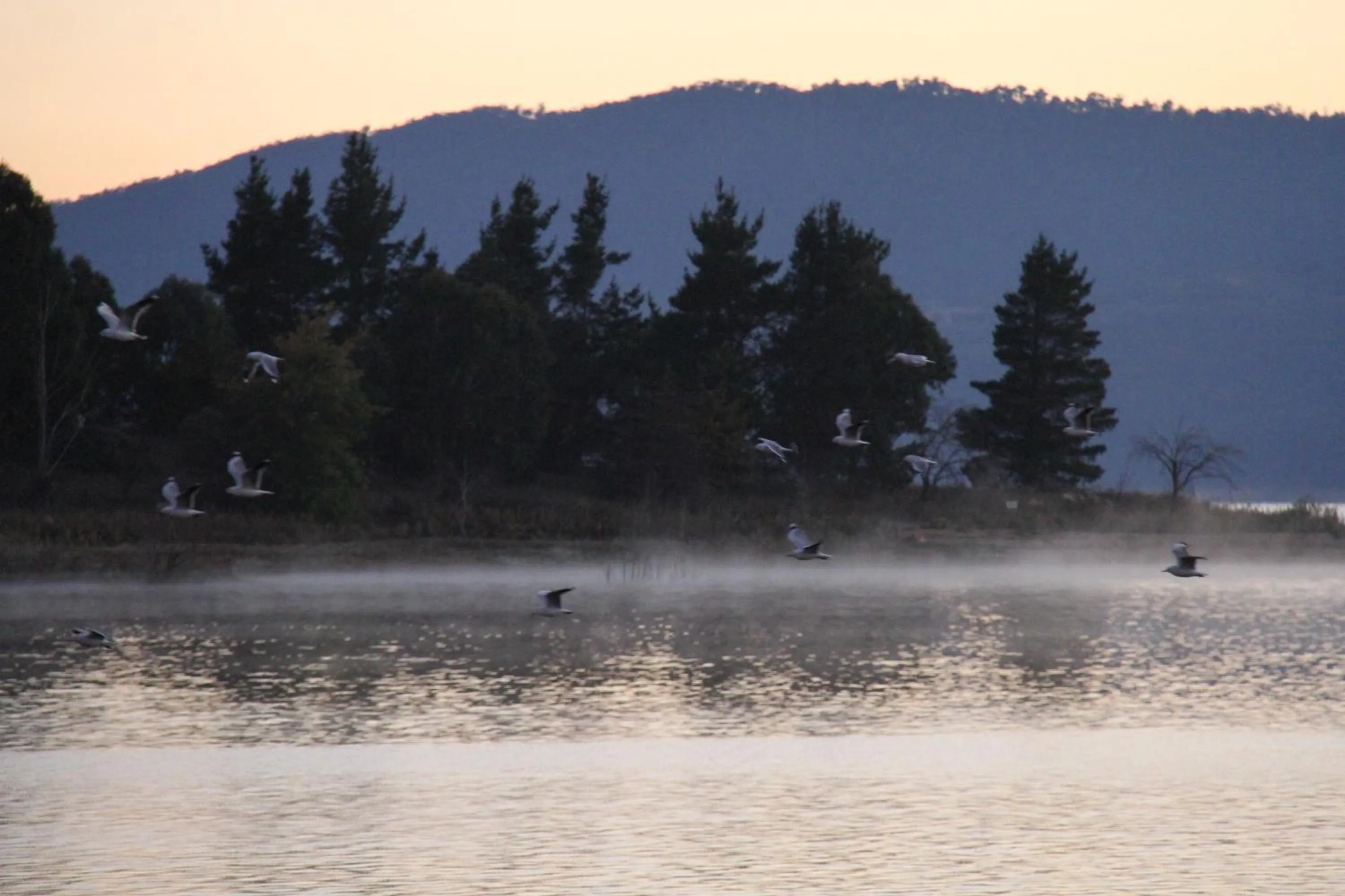 Natural landscape in Acacia Snowy Motel