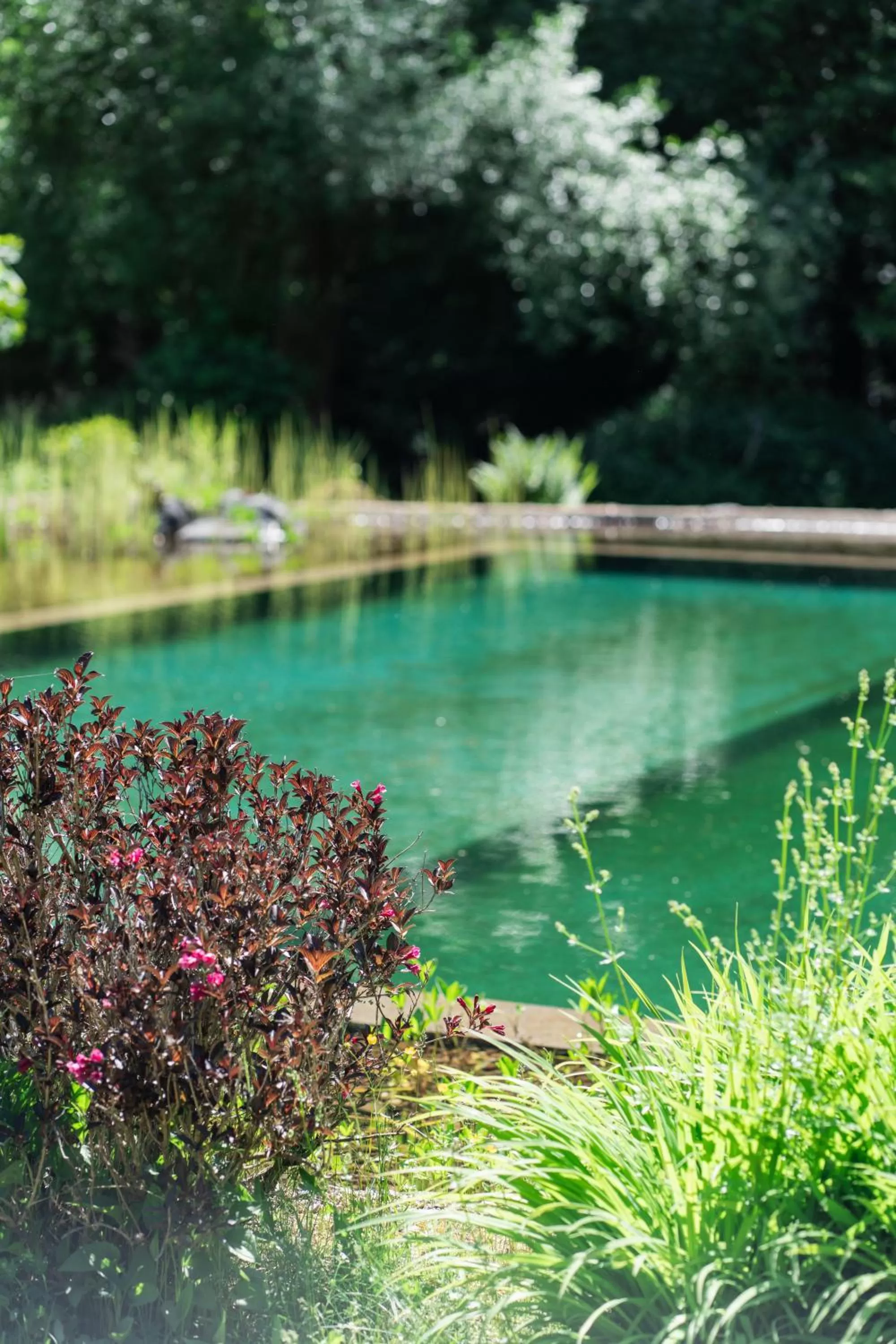 Garden in Hotel Christel