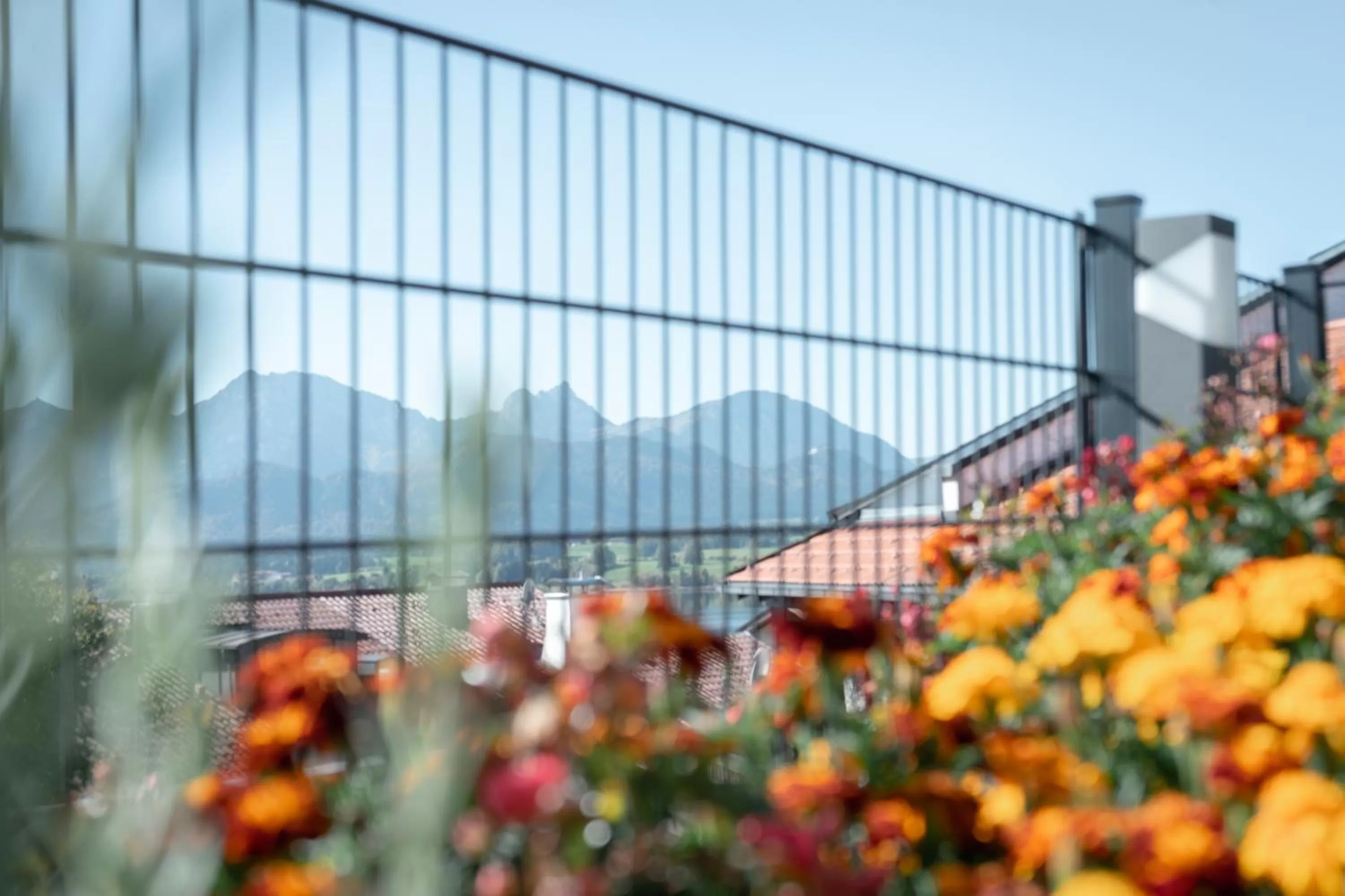 View (from property/room) in Ferienhaus und Landhaus Berger