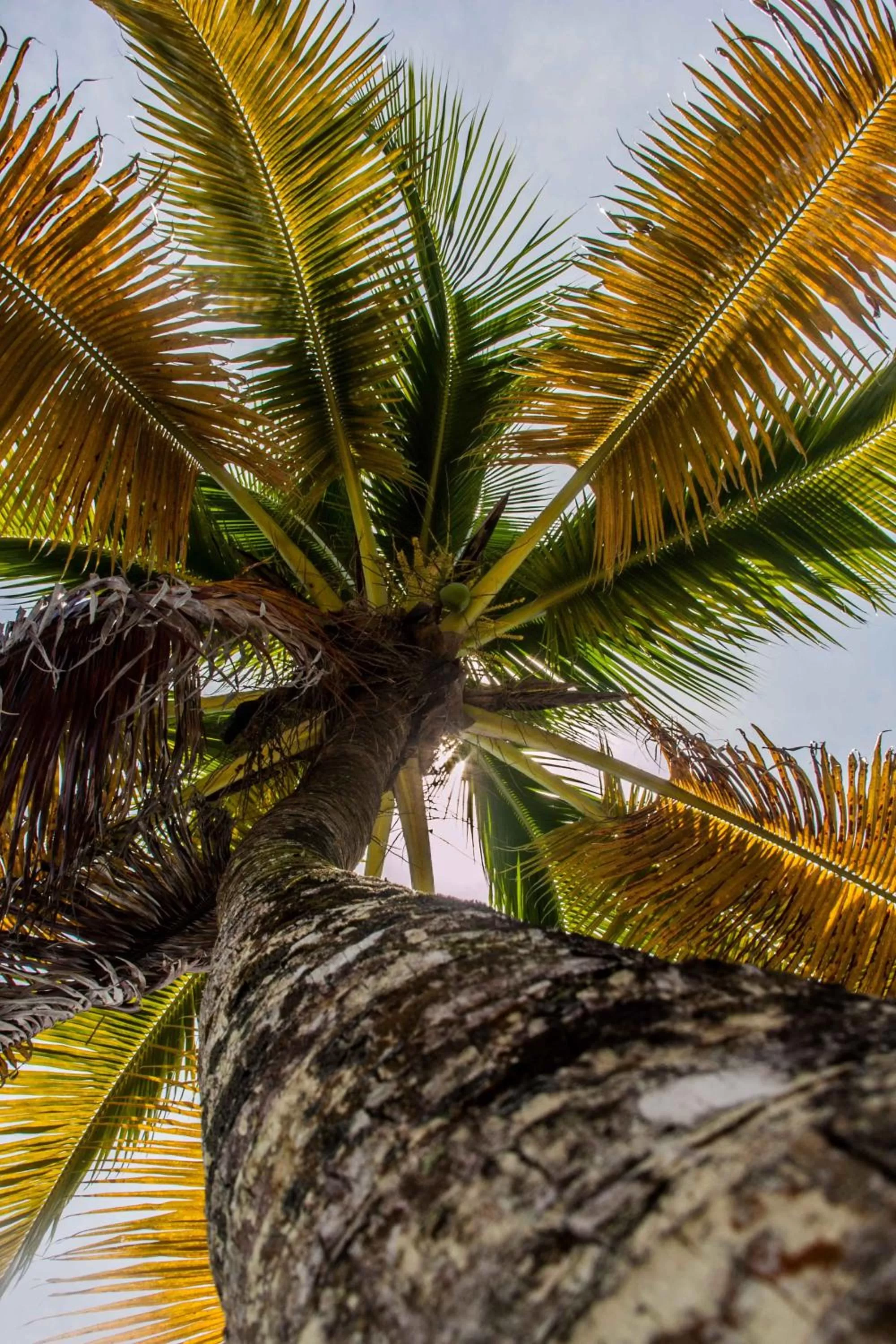 Natural landscape in Doña Mara Gastro Hotel