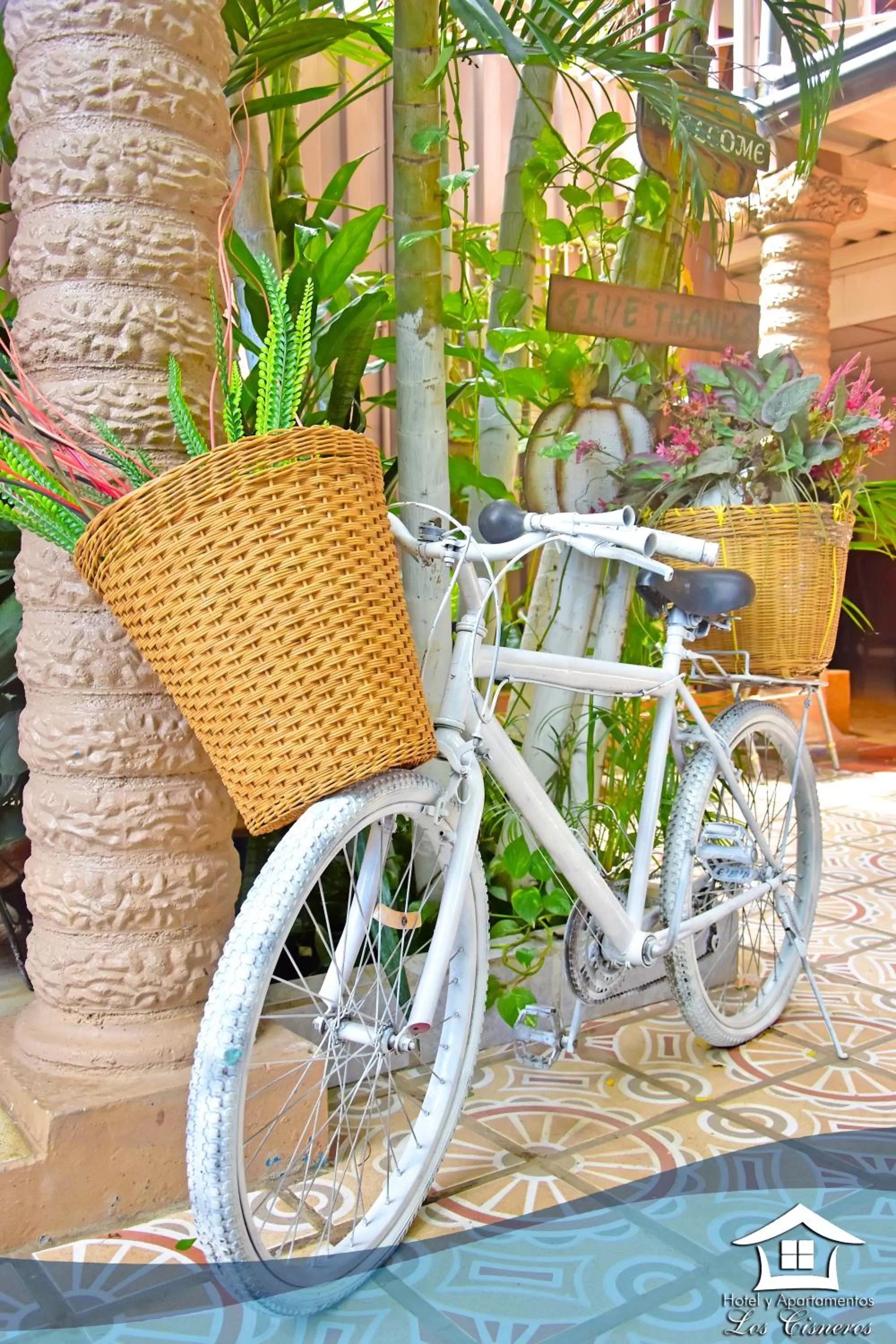 Garden in Hotel y Apartments Los Cisneros