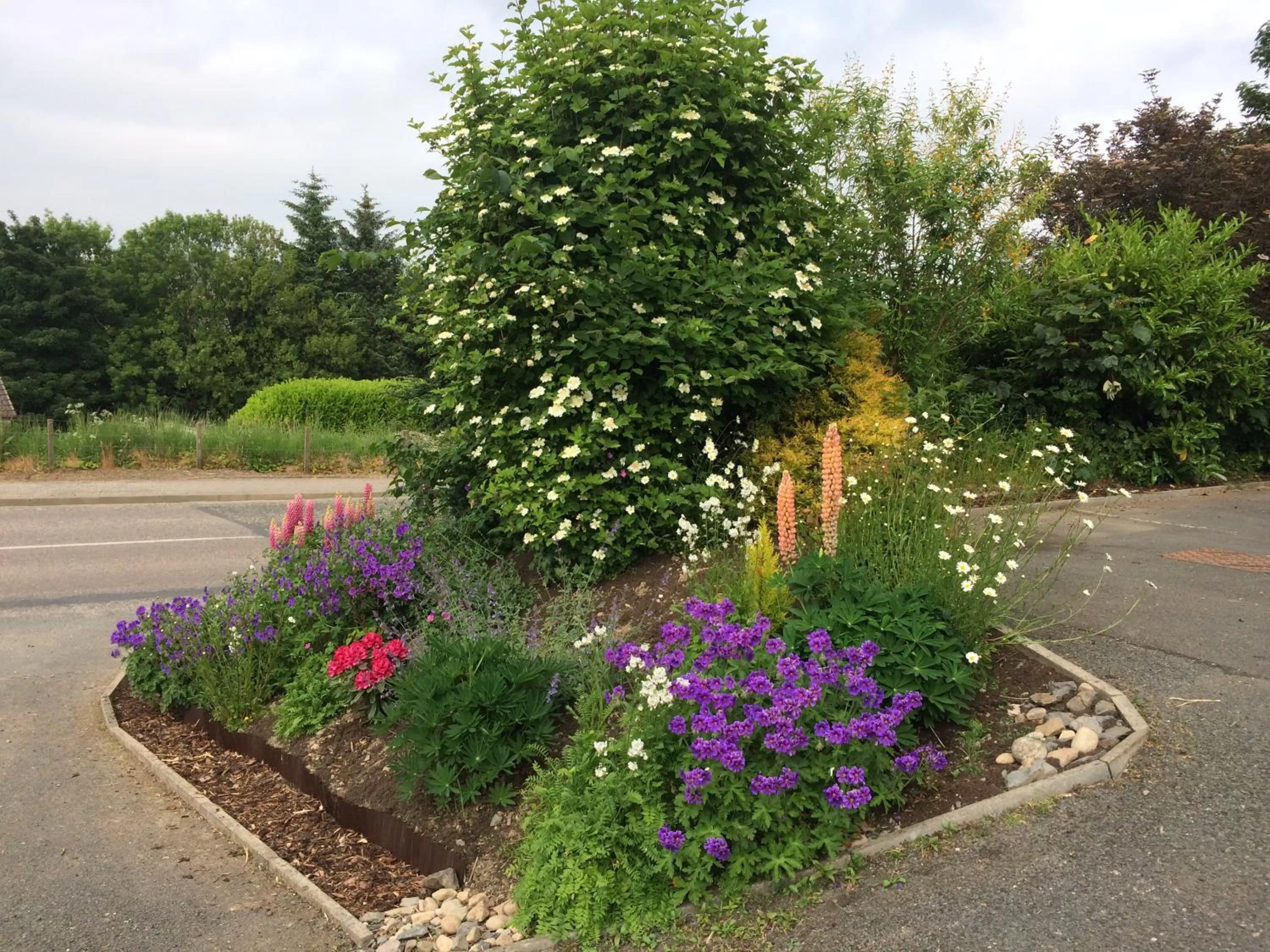 Garden in Deveron Lodge Guest House