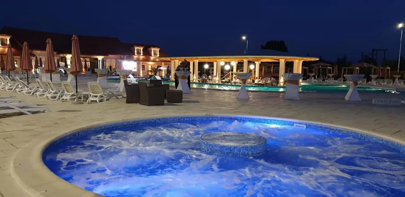 Swimming pool in Pensiunea Trei Pini