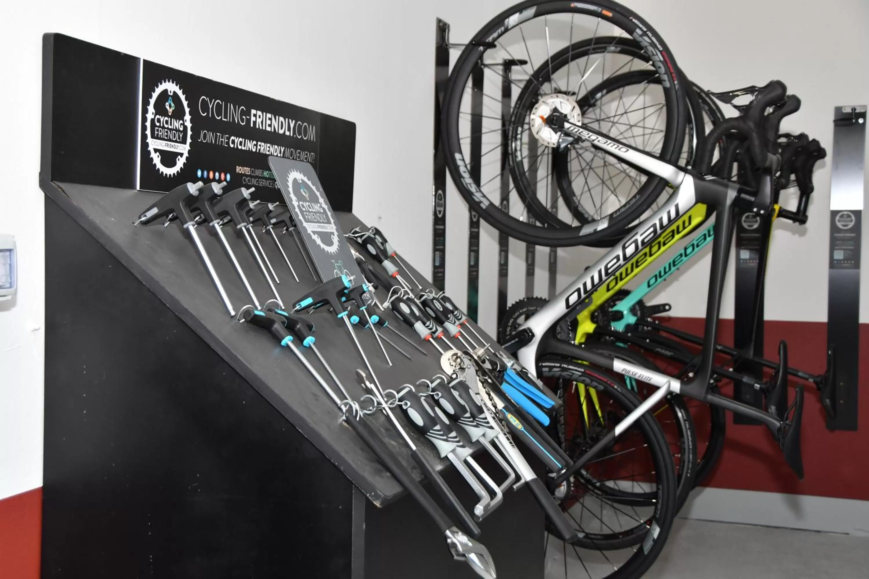 Cycling, Other Activities in Bahia Principe Sunlight Tenerife