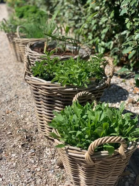 Spring in Hotel Zonne