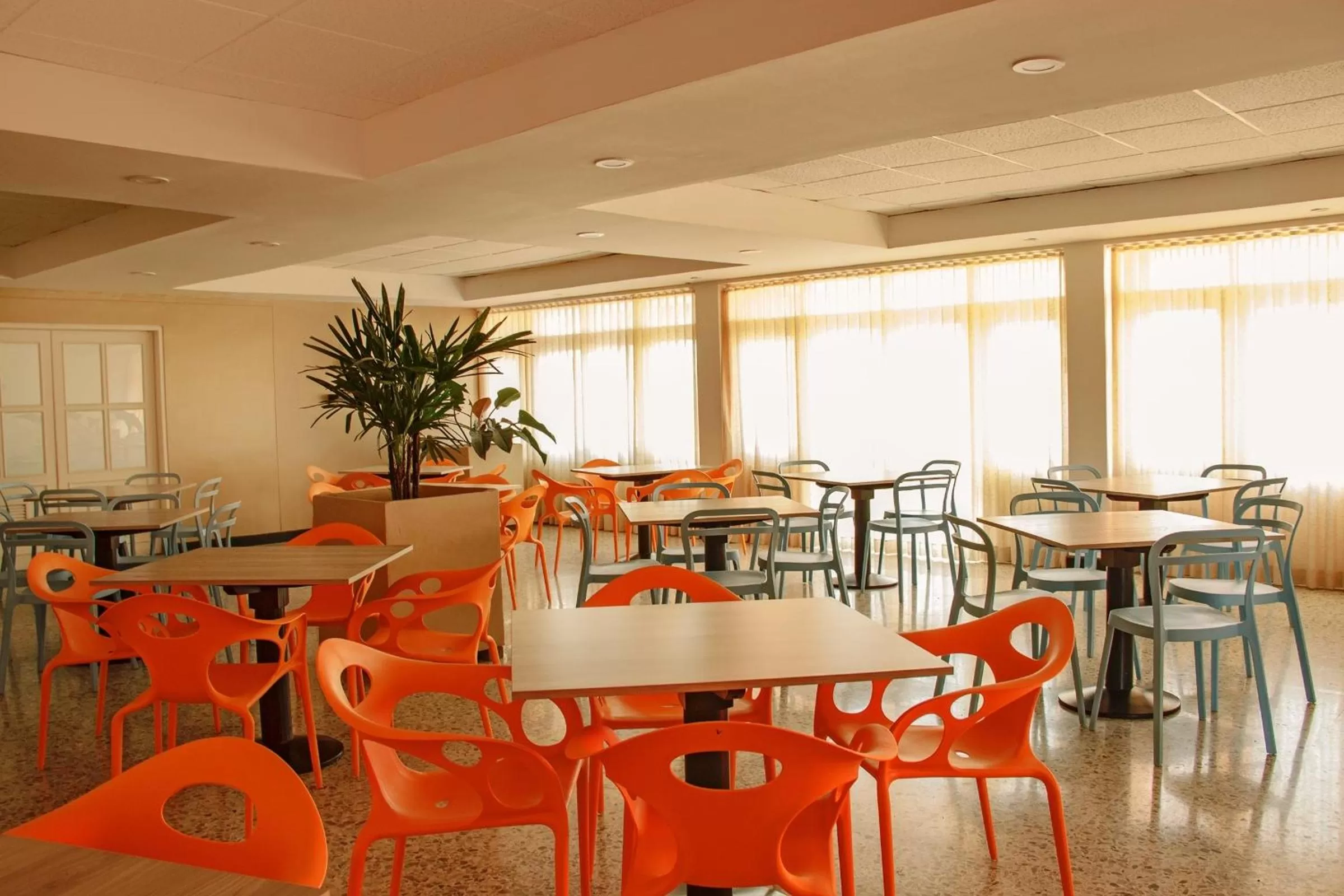 Restaurant/places to eat in Hotel Gimaura