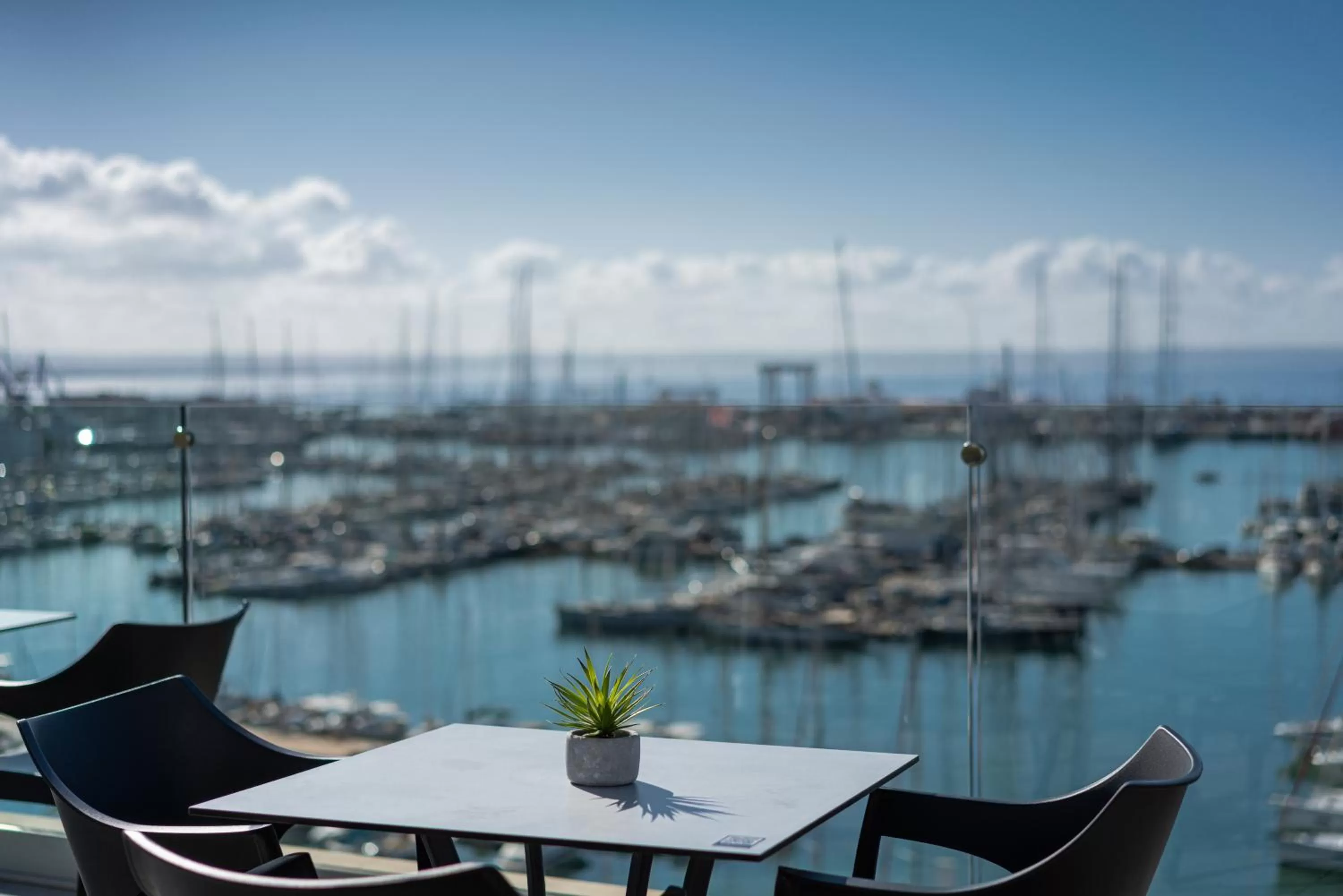 Lounge or bar in Hotel Mirador