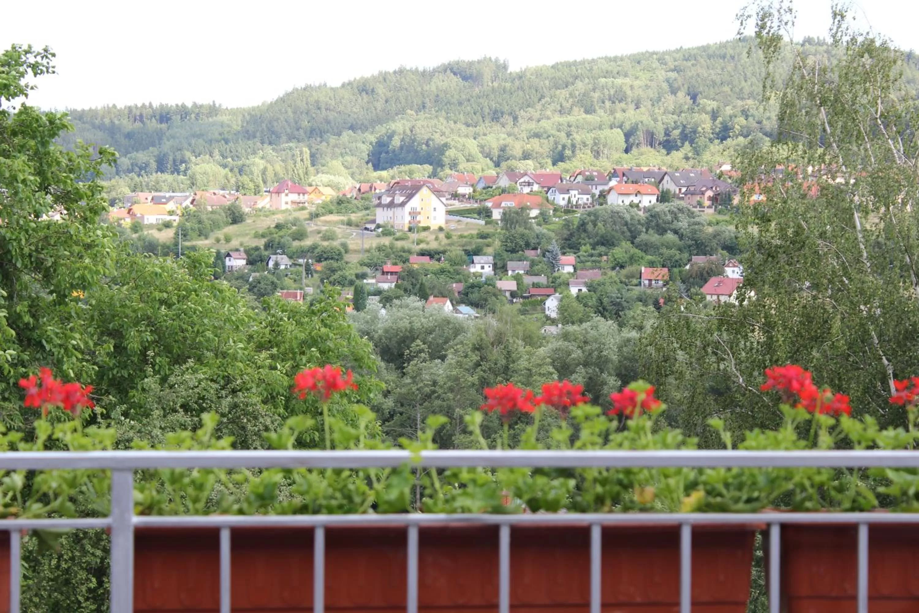 City view in Pension Lukas