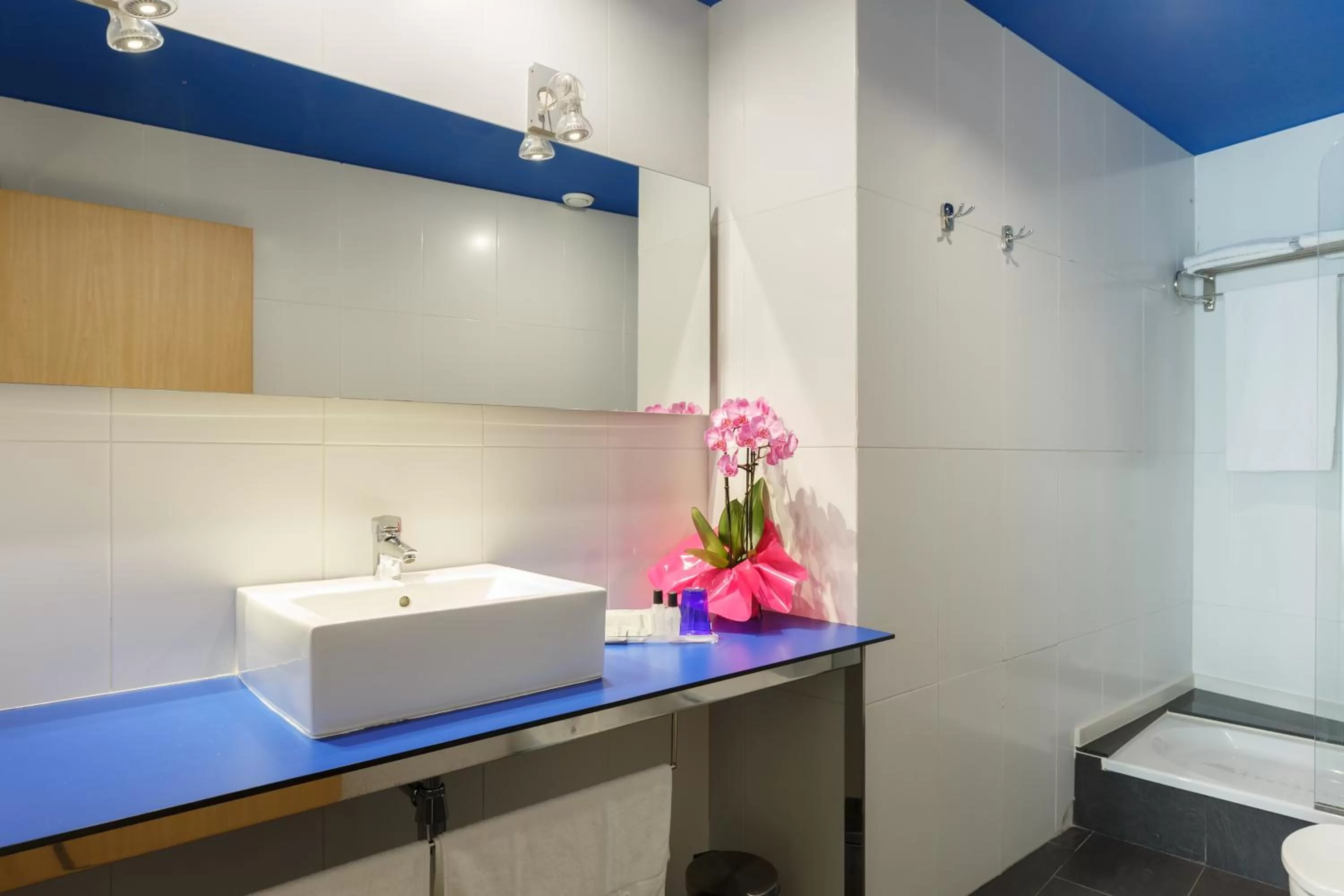 Bathroom in Ciutat de Barcelona