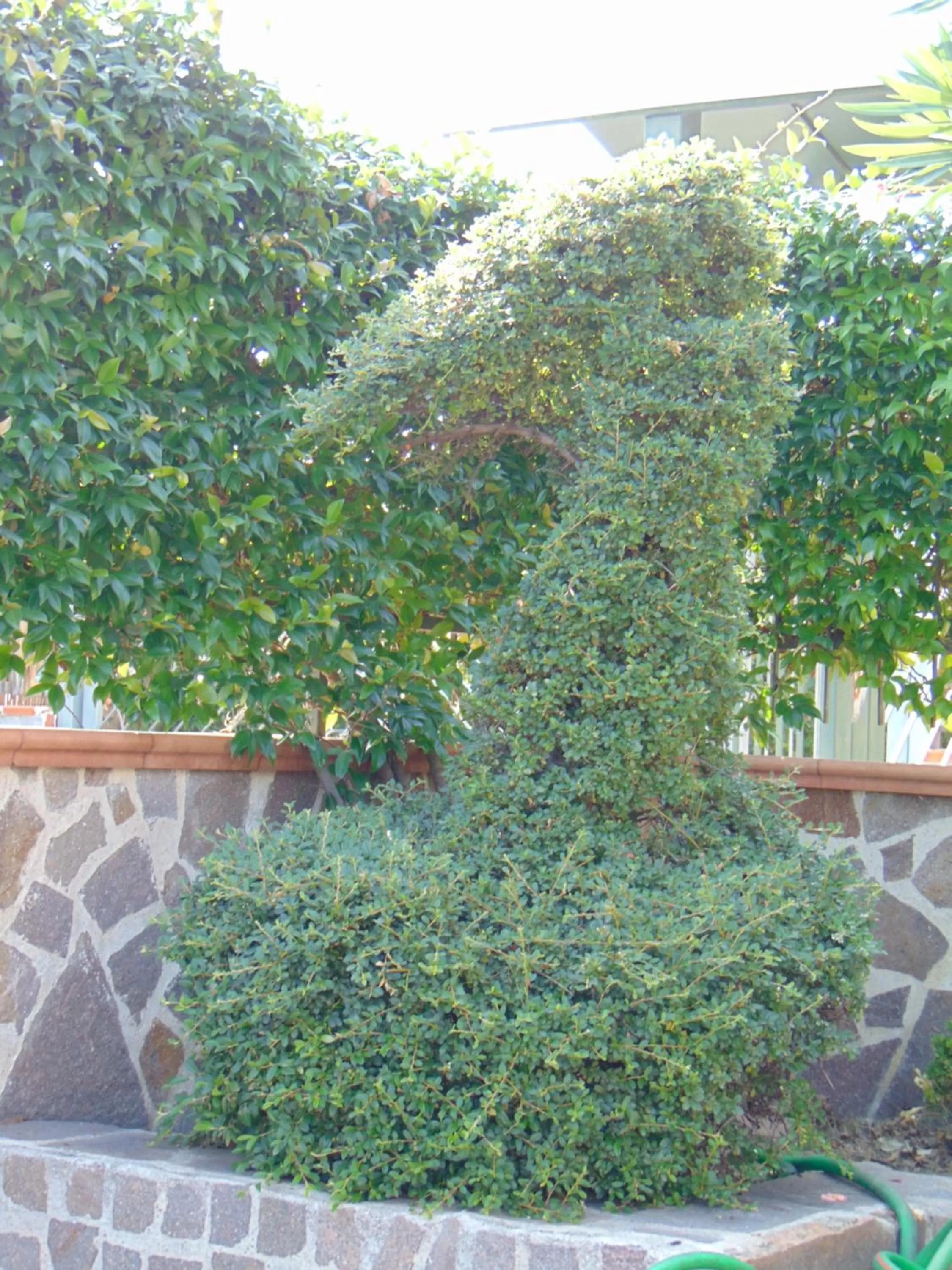 Decorative detail, Garden in Villa Celeste B&B