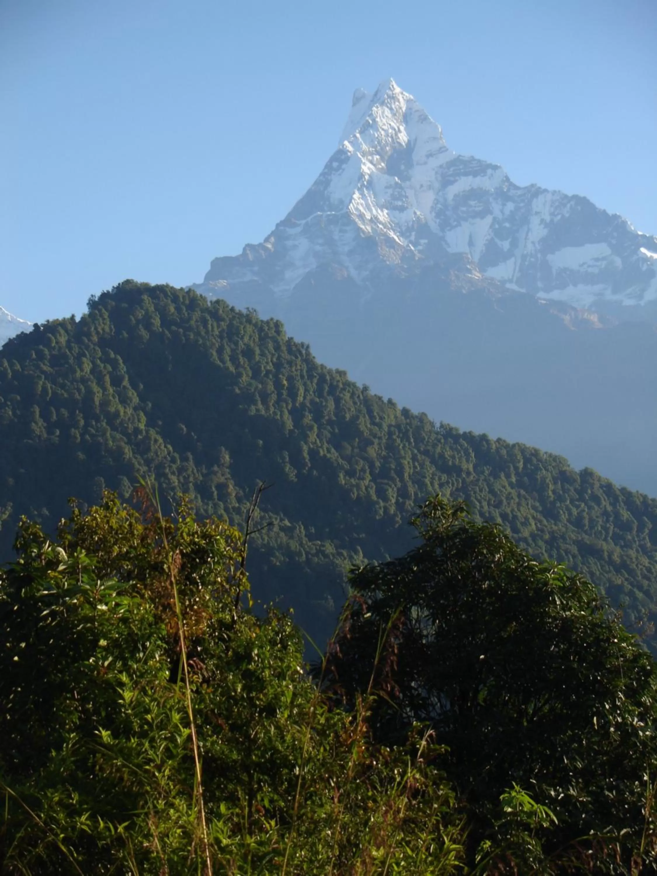 Natural landscape in The North Face Inn
