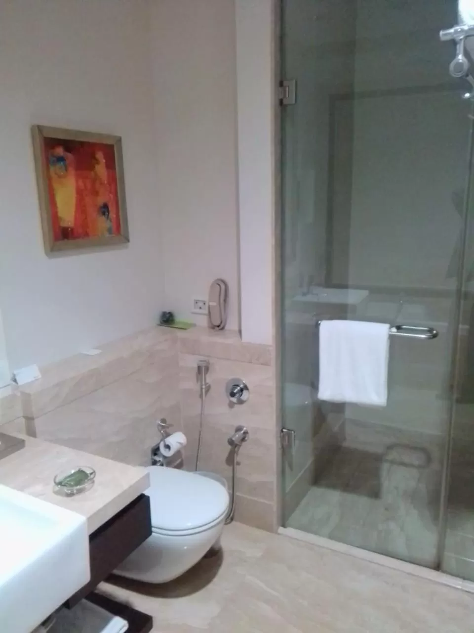 Shower in Radisson Noida