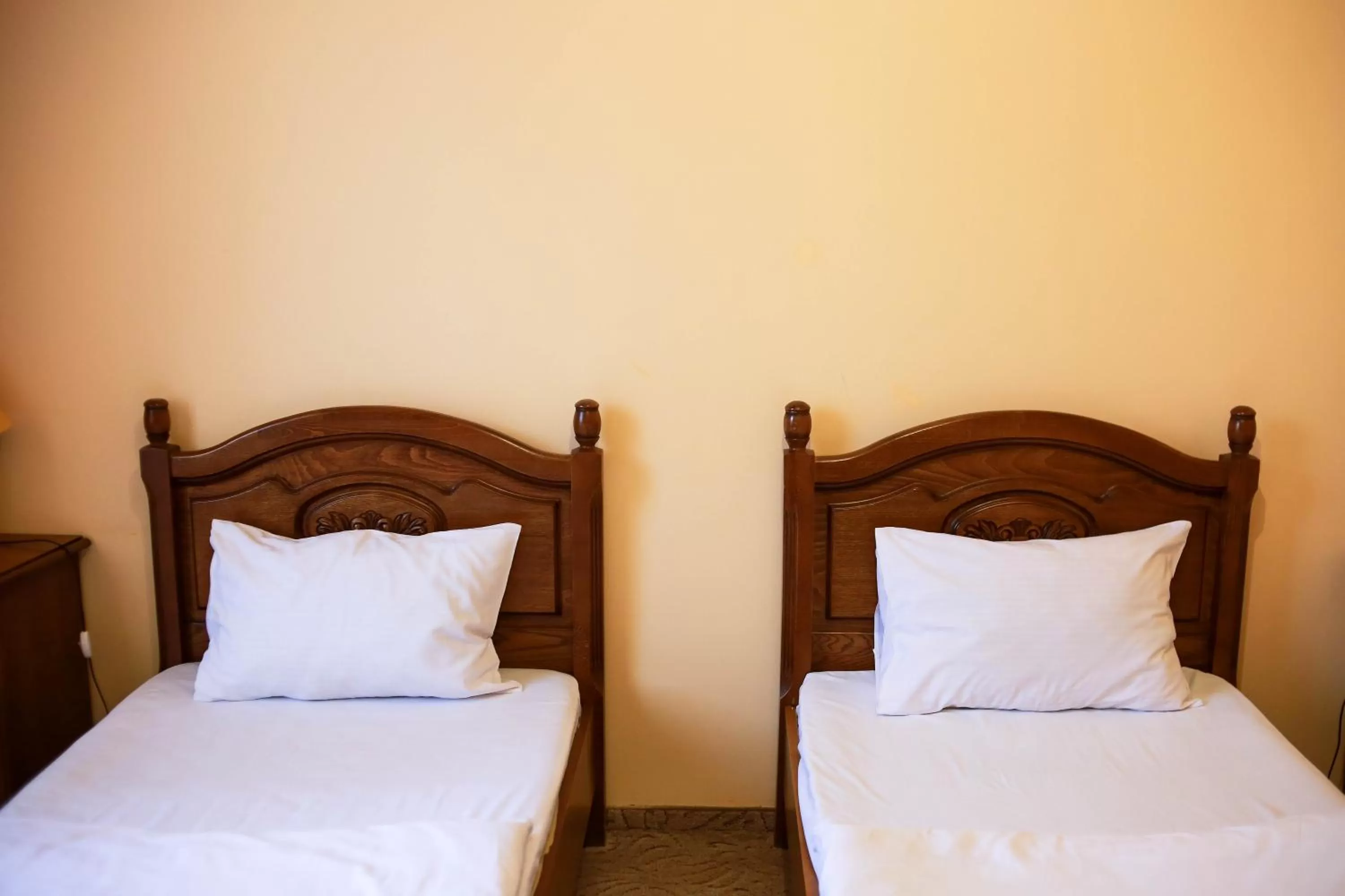 Bed in Chervona Gora