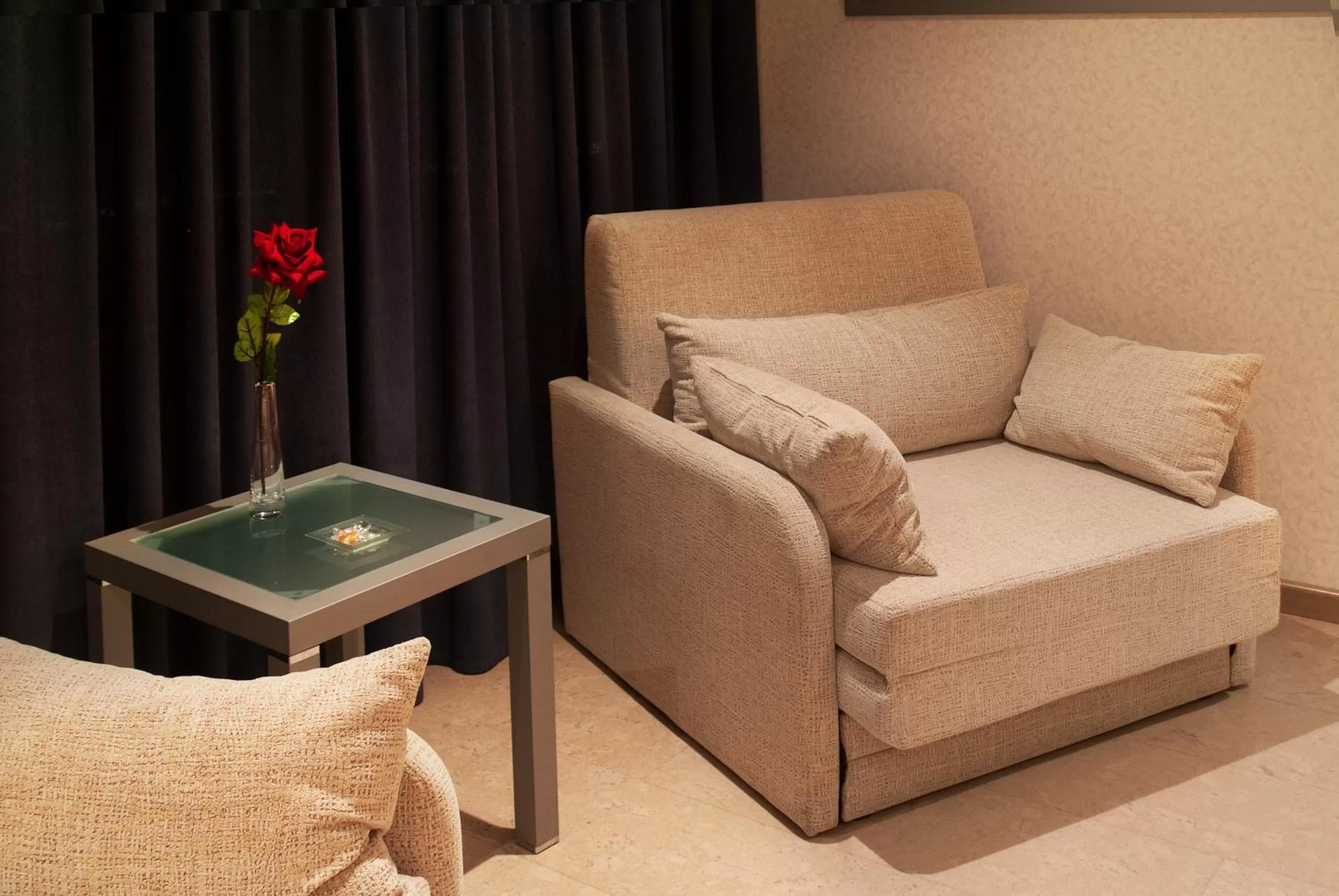 Living room in Hotel Mas Camarena