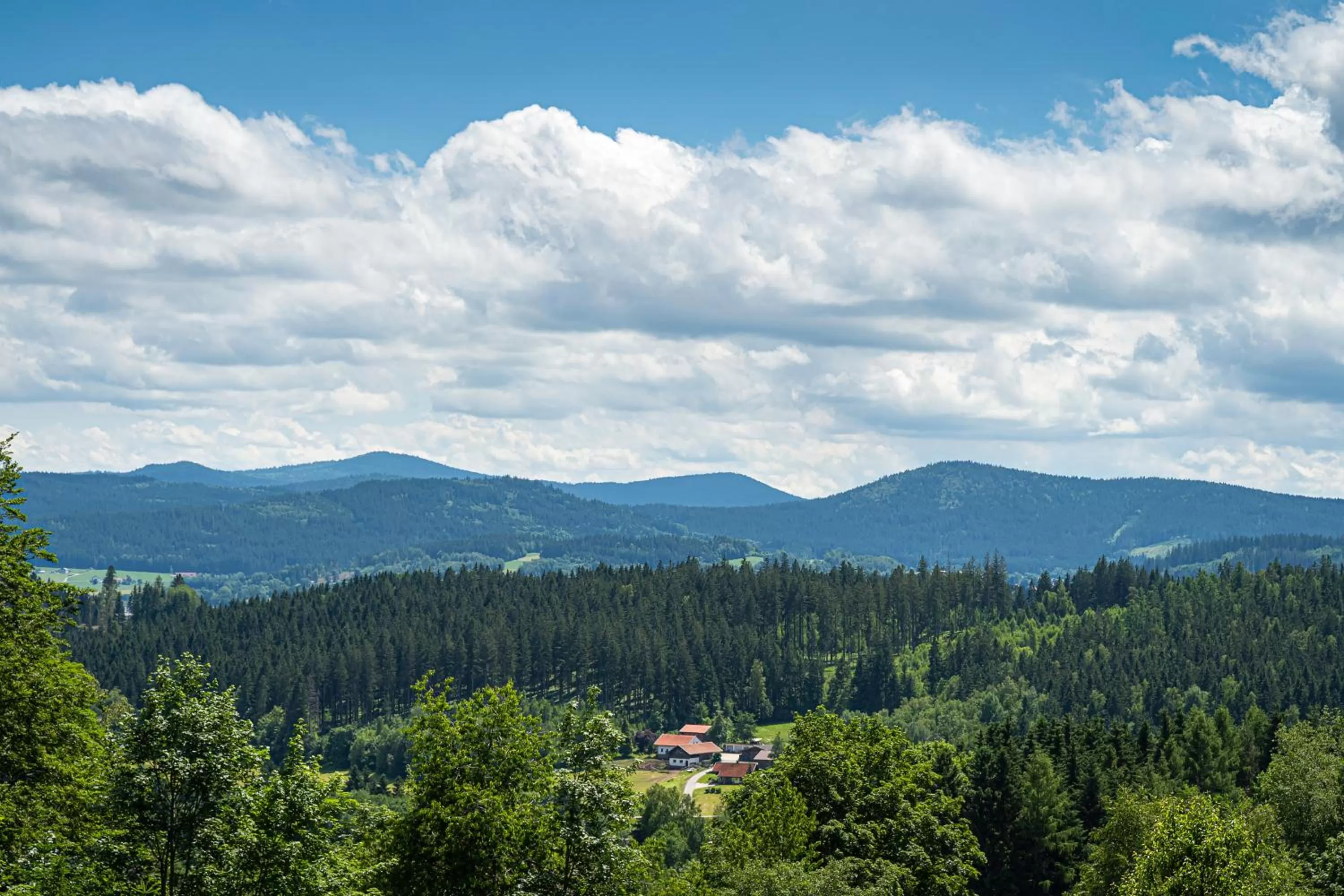 Spring in Robenstein Hotel & SPA - Villa