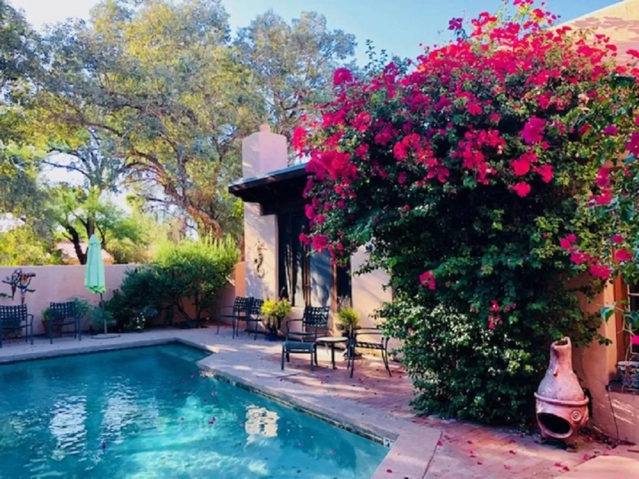 Patio, Swimming Pool in Adobe Rose Inn