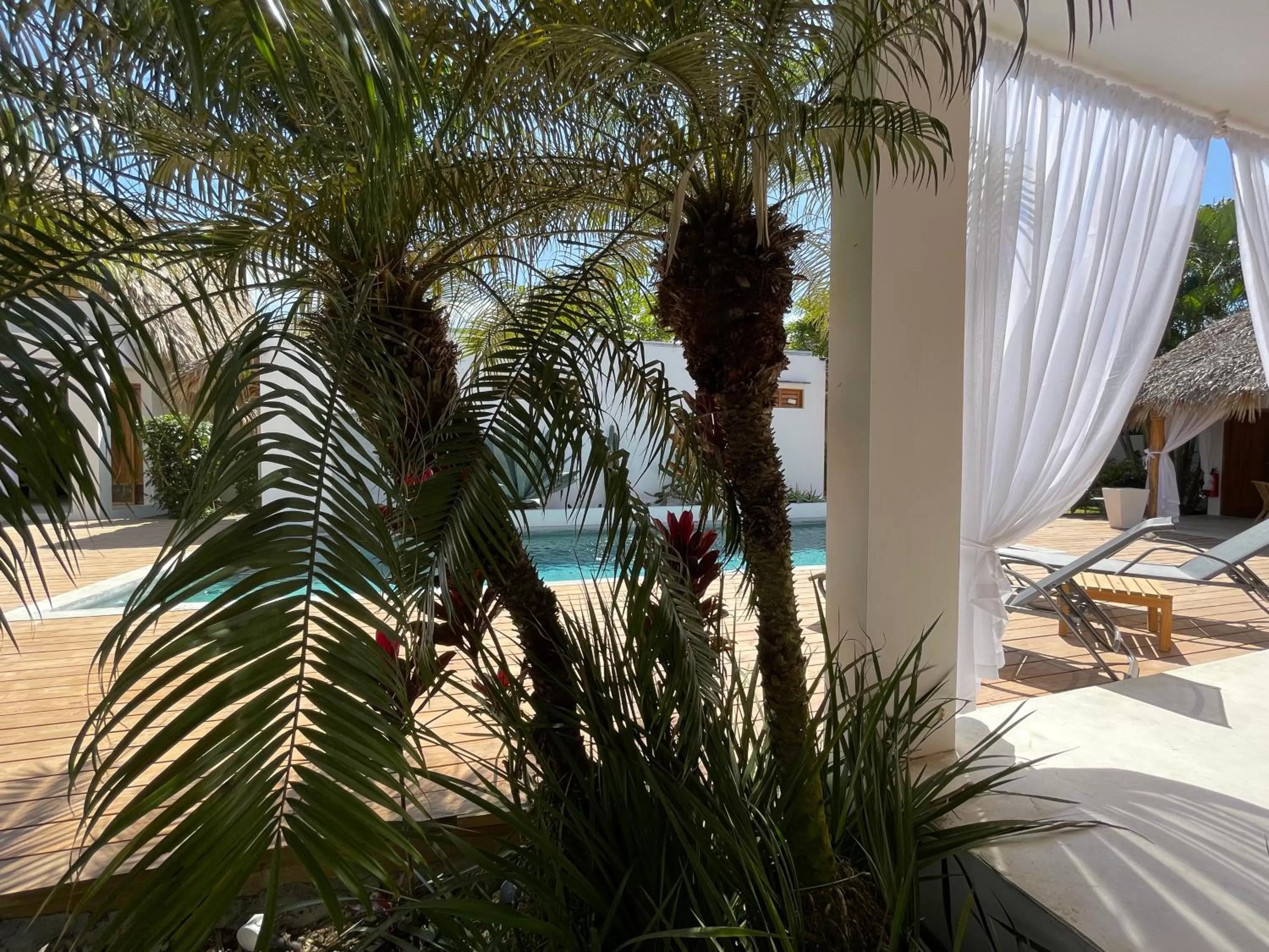 Pool View in Leeloo Boutique Hotel