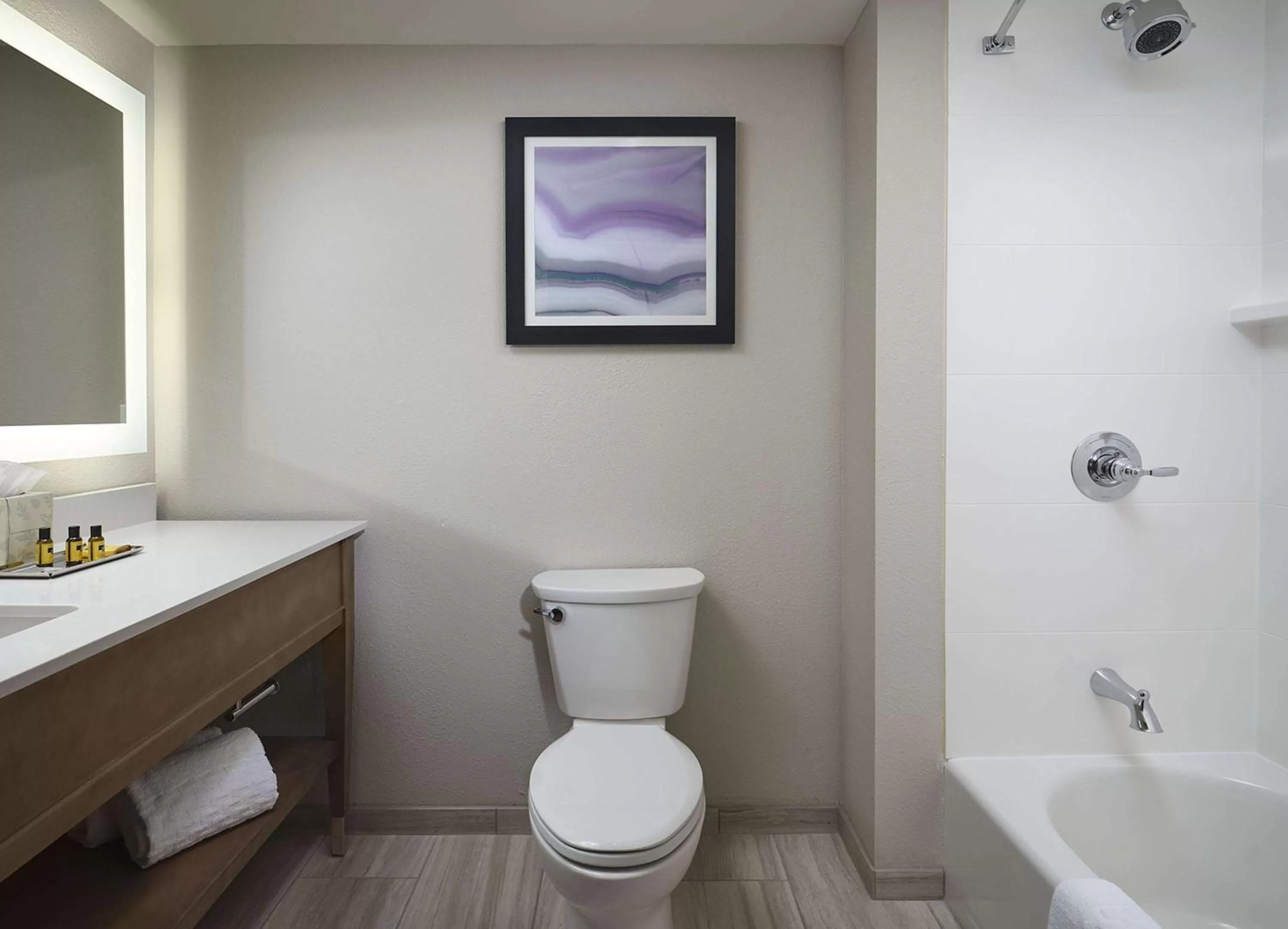 Bathroom in Best Western Plus Desoto