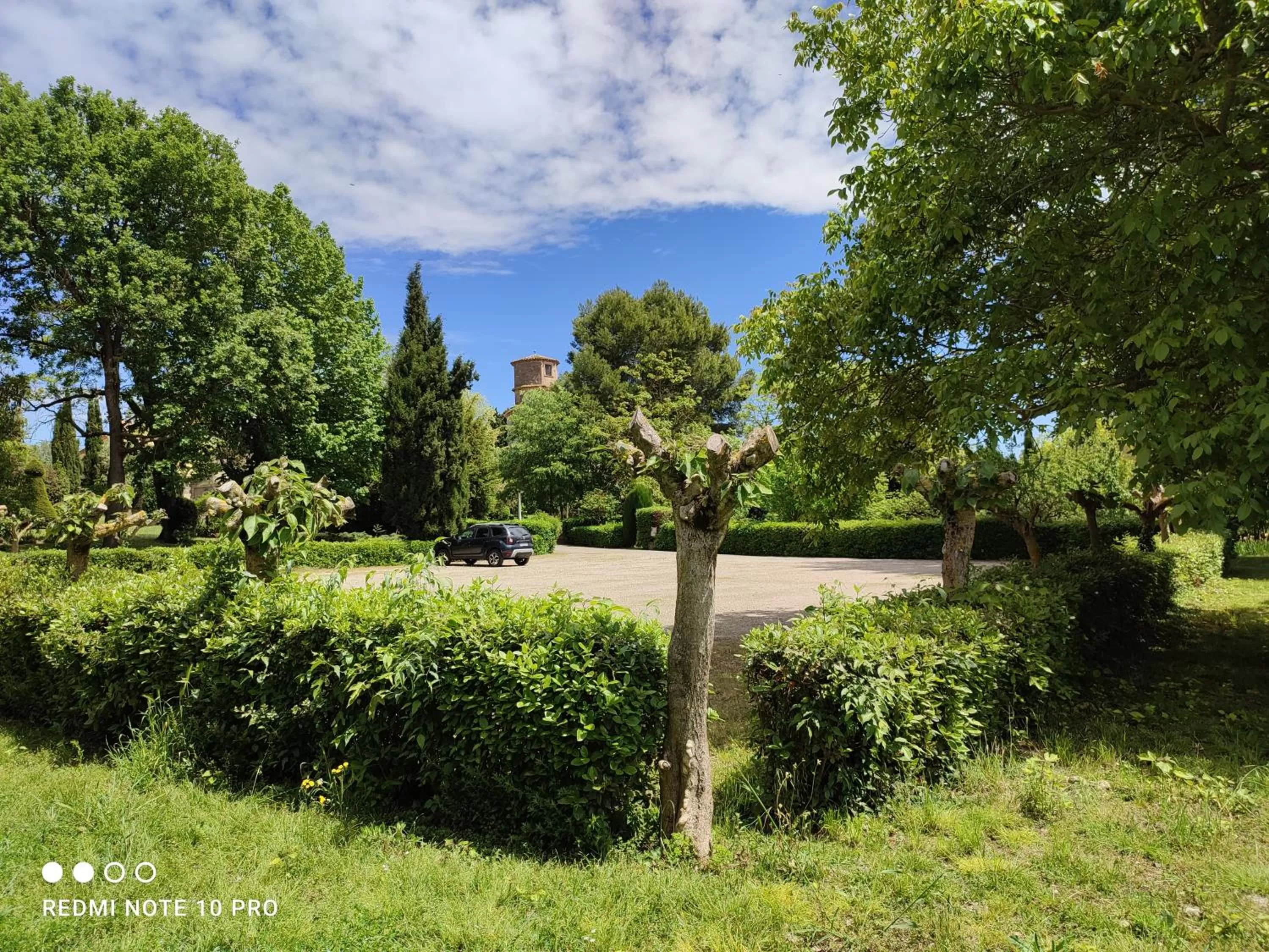 Garden in Château Saint-Martin