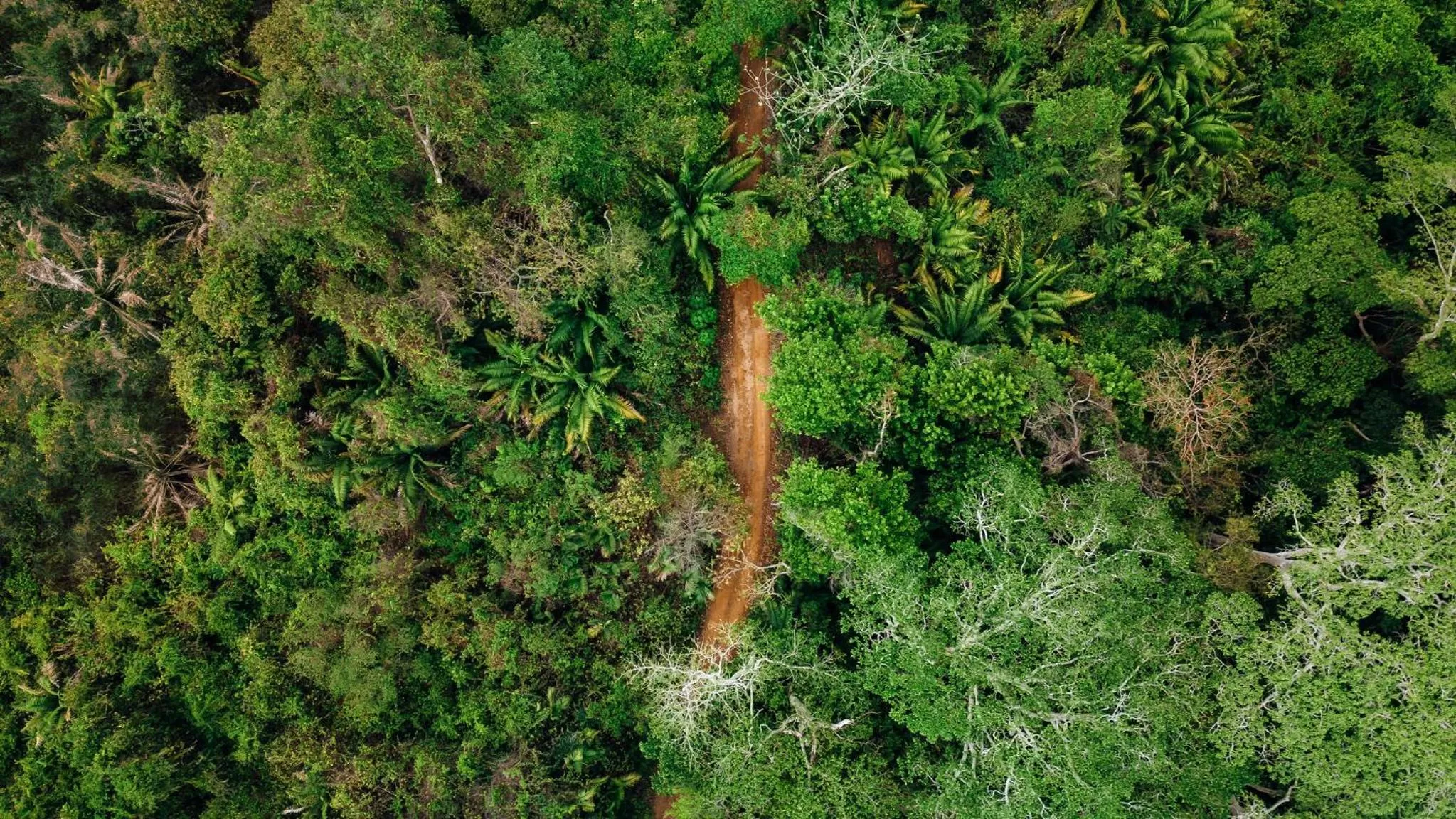 Natural landscape in Saboga Lodge
