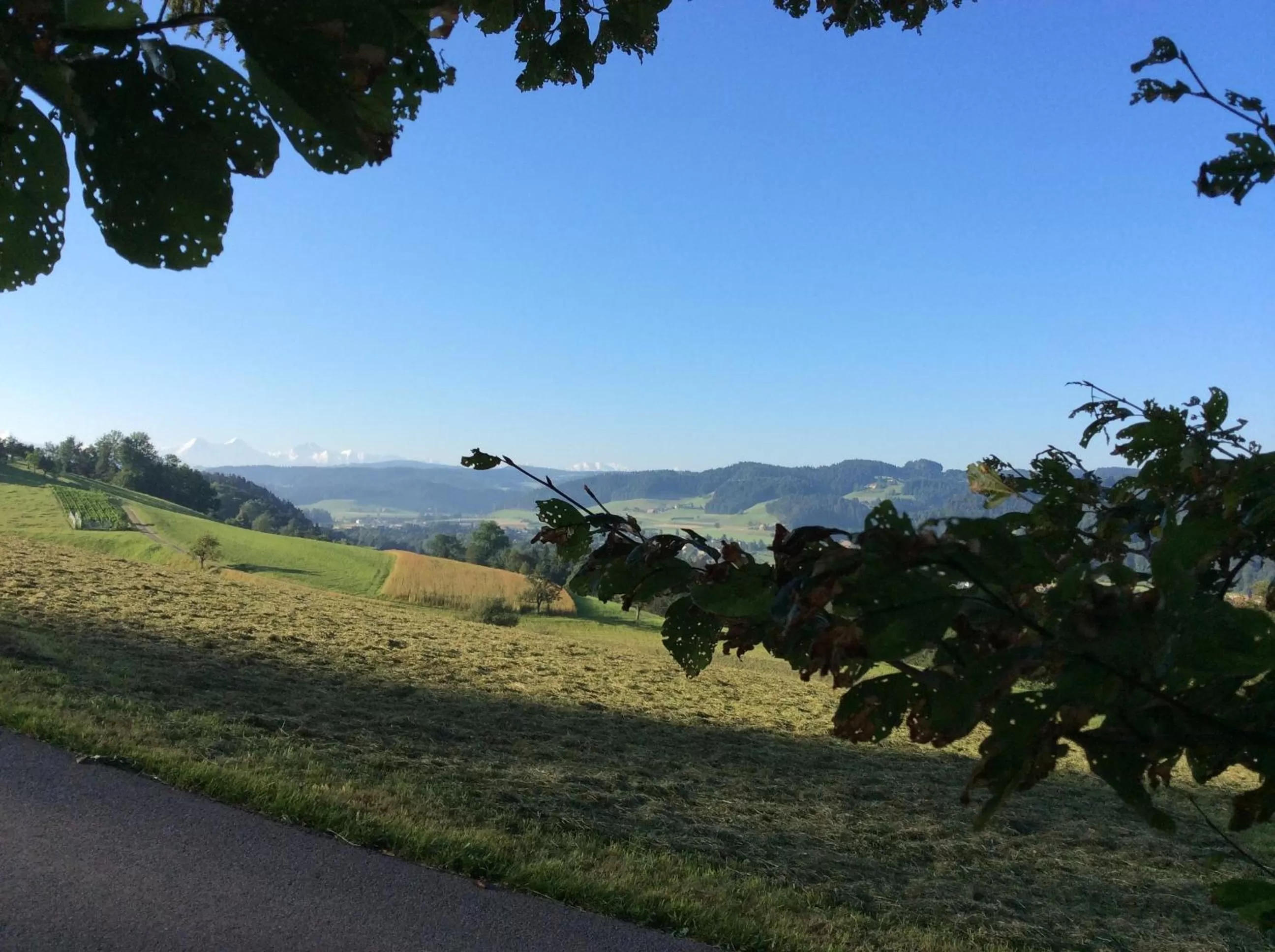 Entertainment in Landcafe mit Mini Hotel