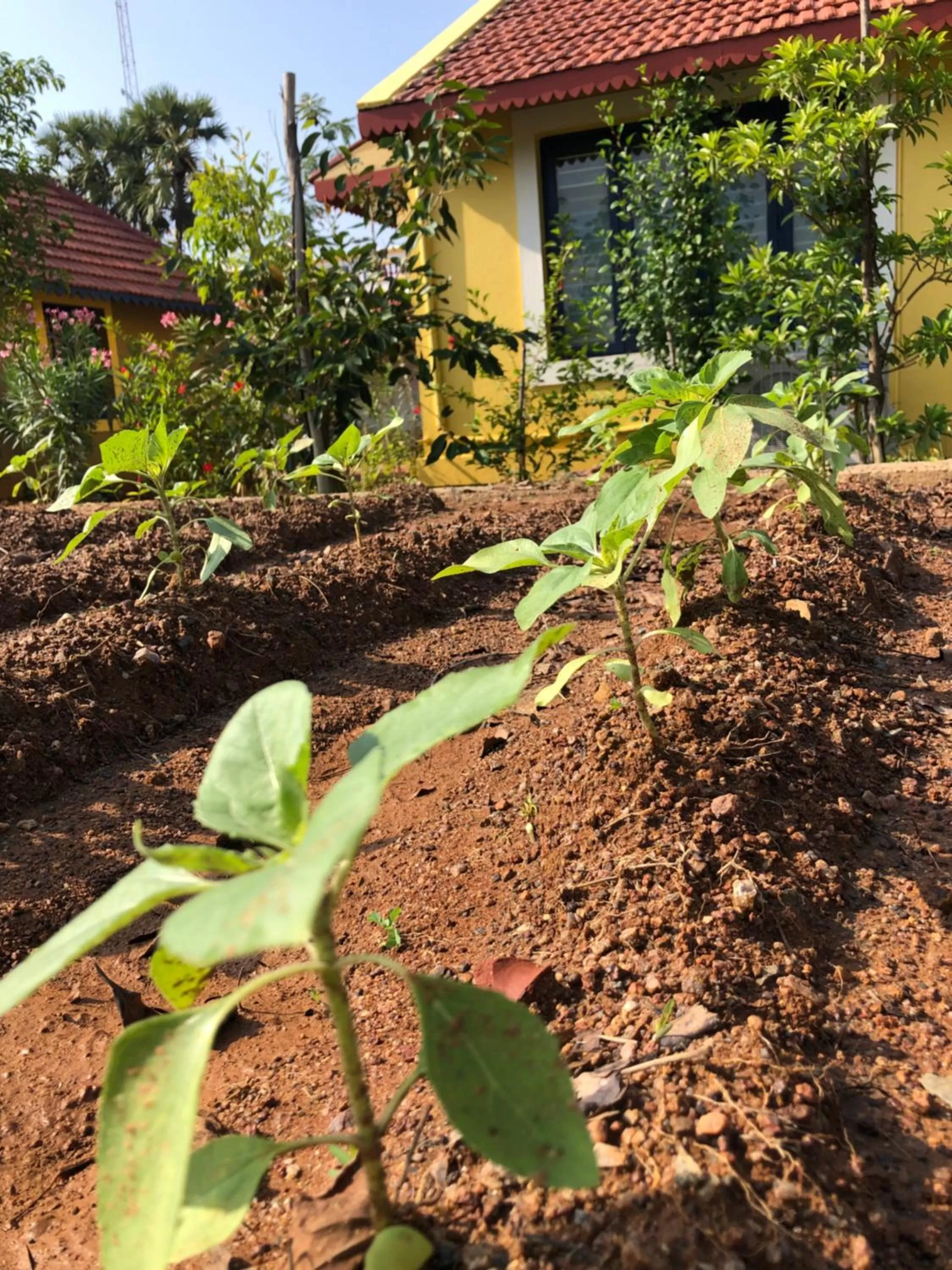 Garden in Marutham Village Resort