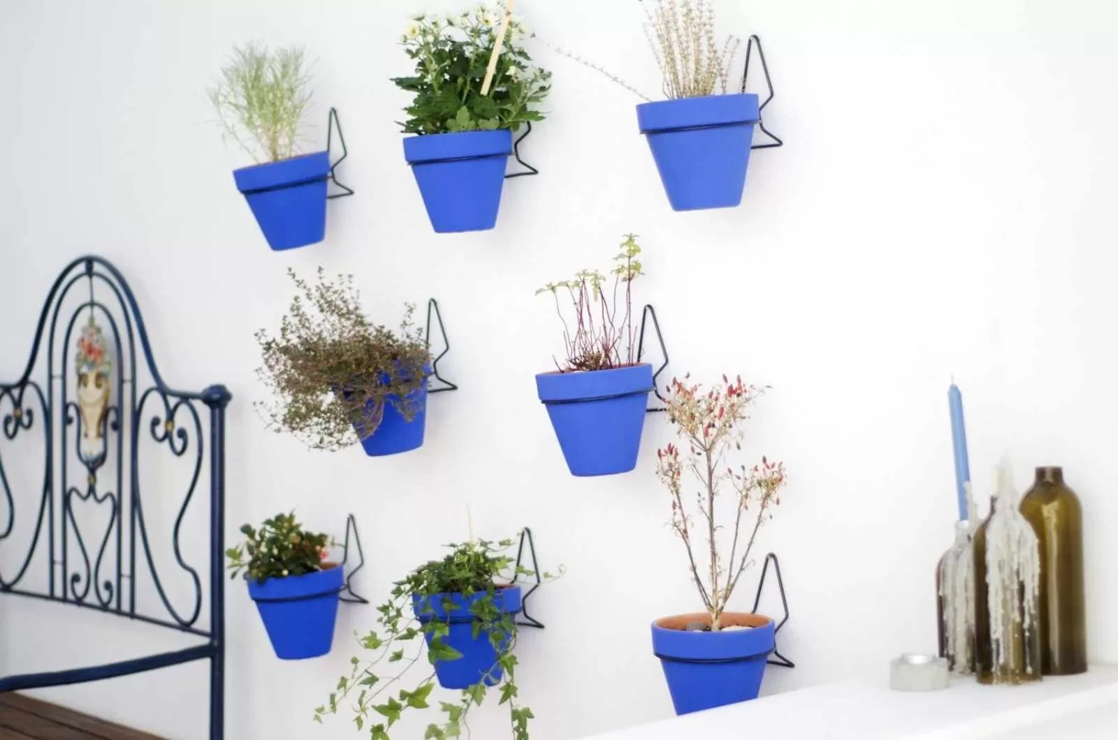 Balcony/Terrace in Patinha Inn