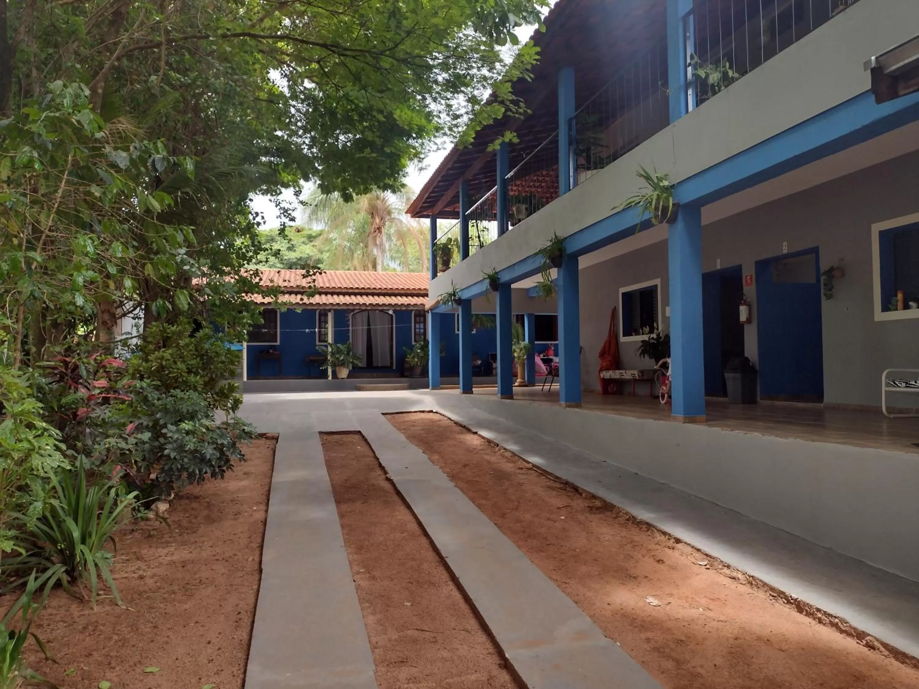 Suits - Canto do sabia