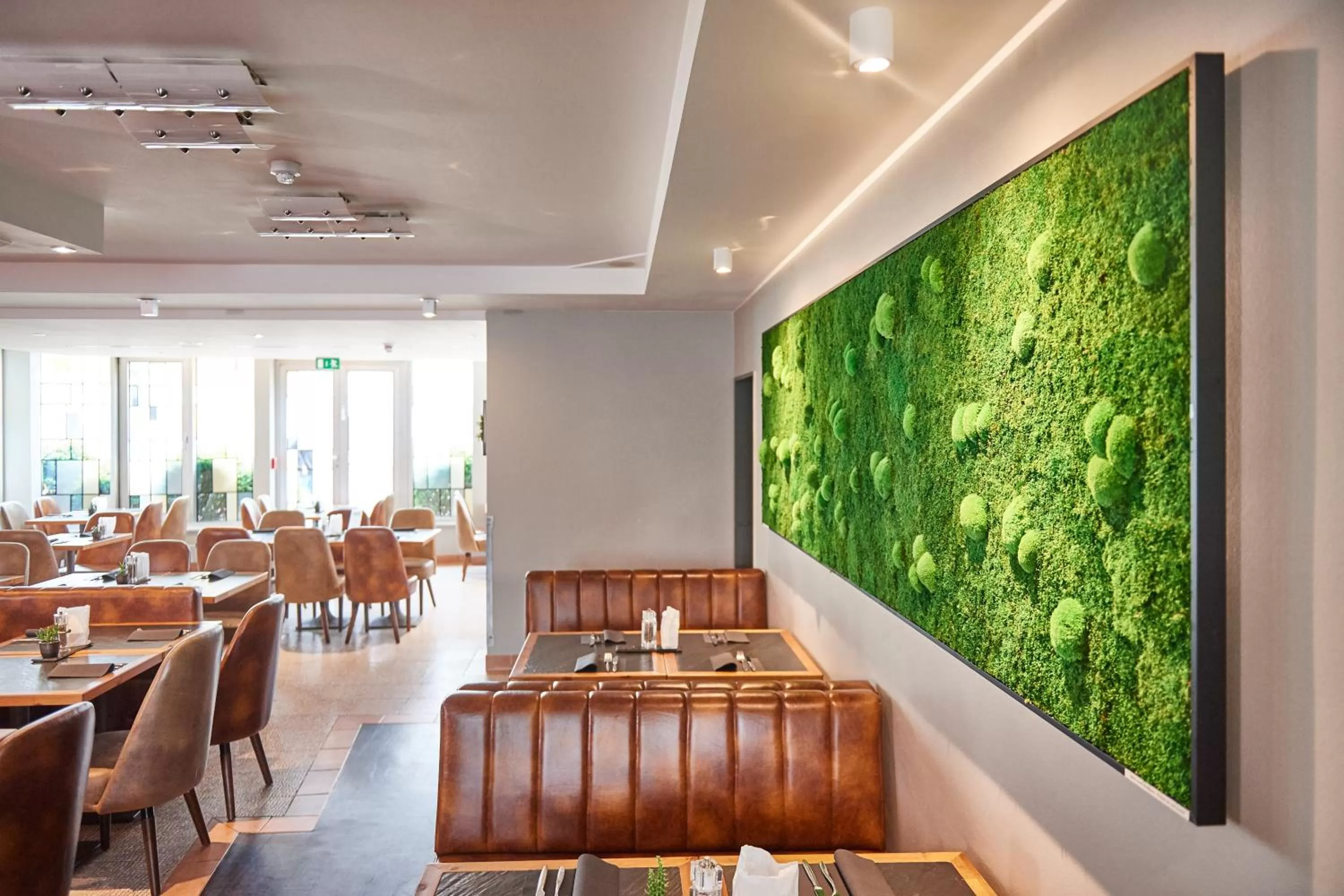 Restaurant/places to eat in Hotel Amadeus