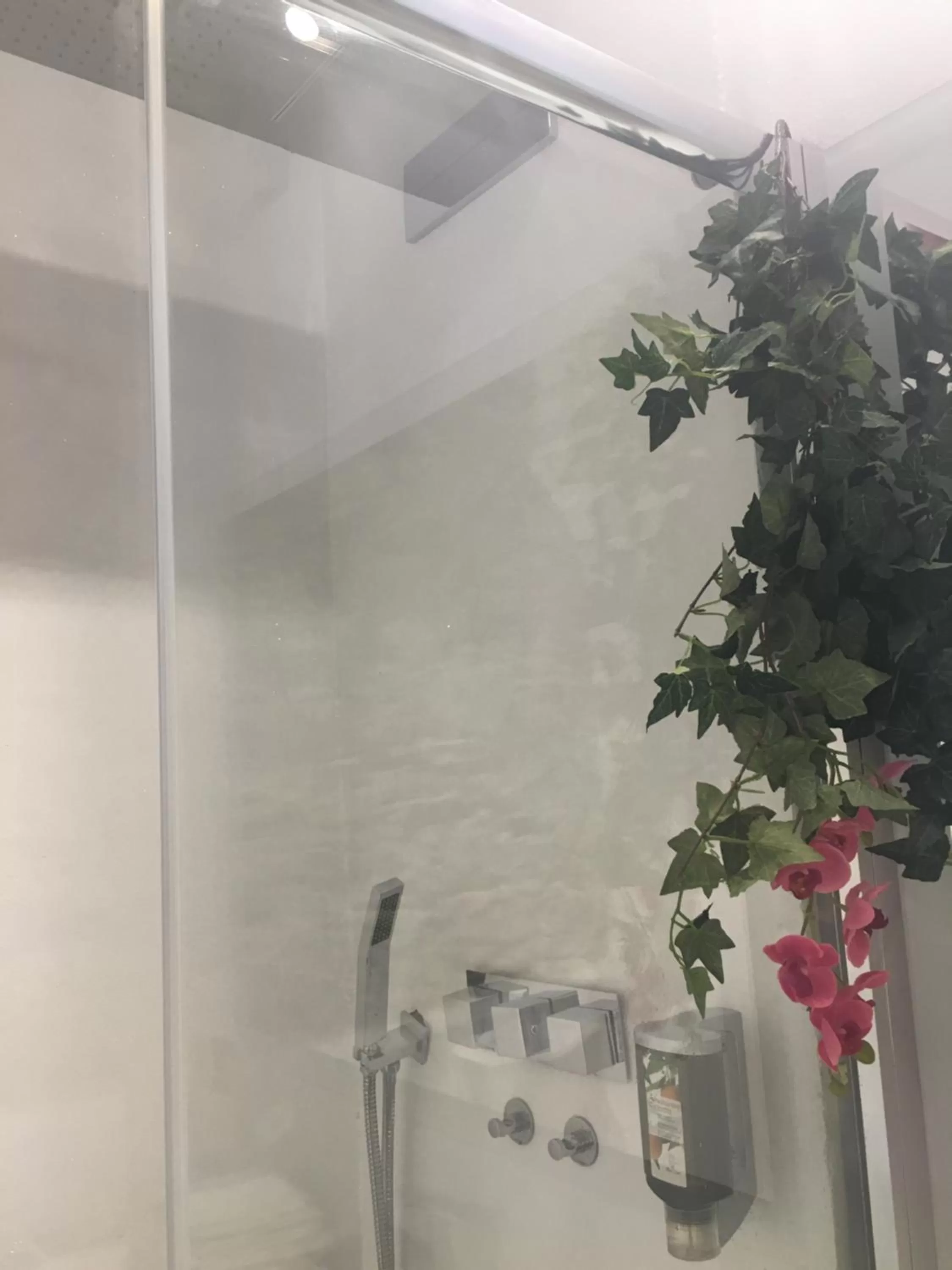 Shower in Hotel Marina
