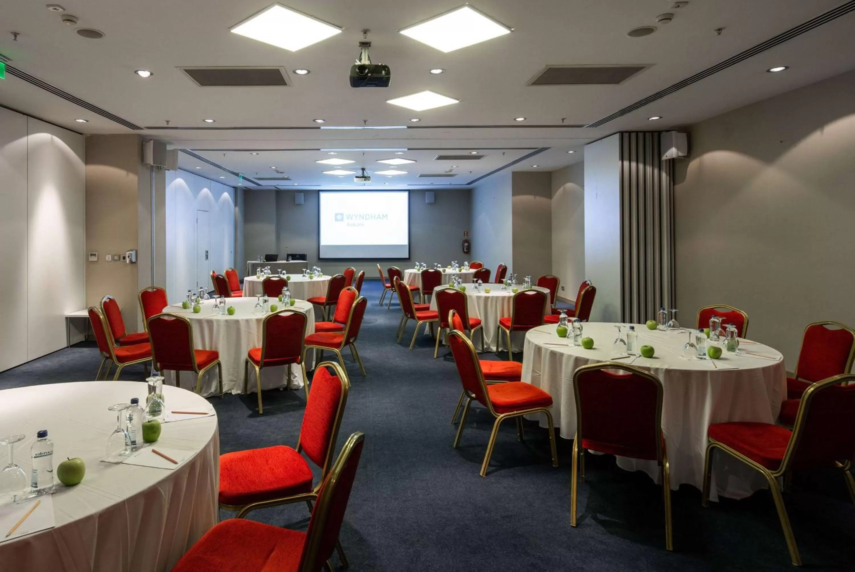 Meeting/conference room in Wyndham Ankara
