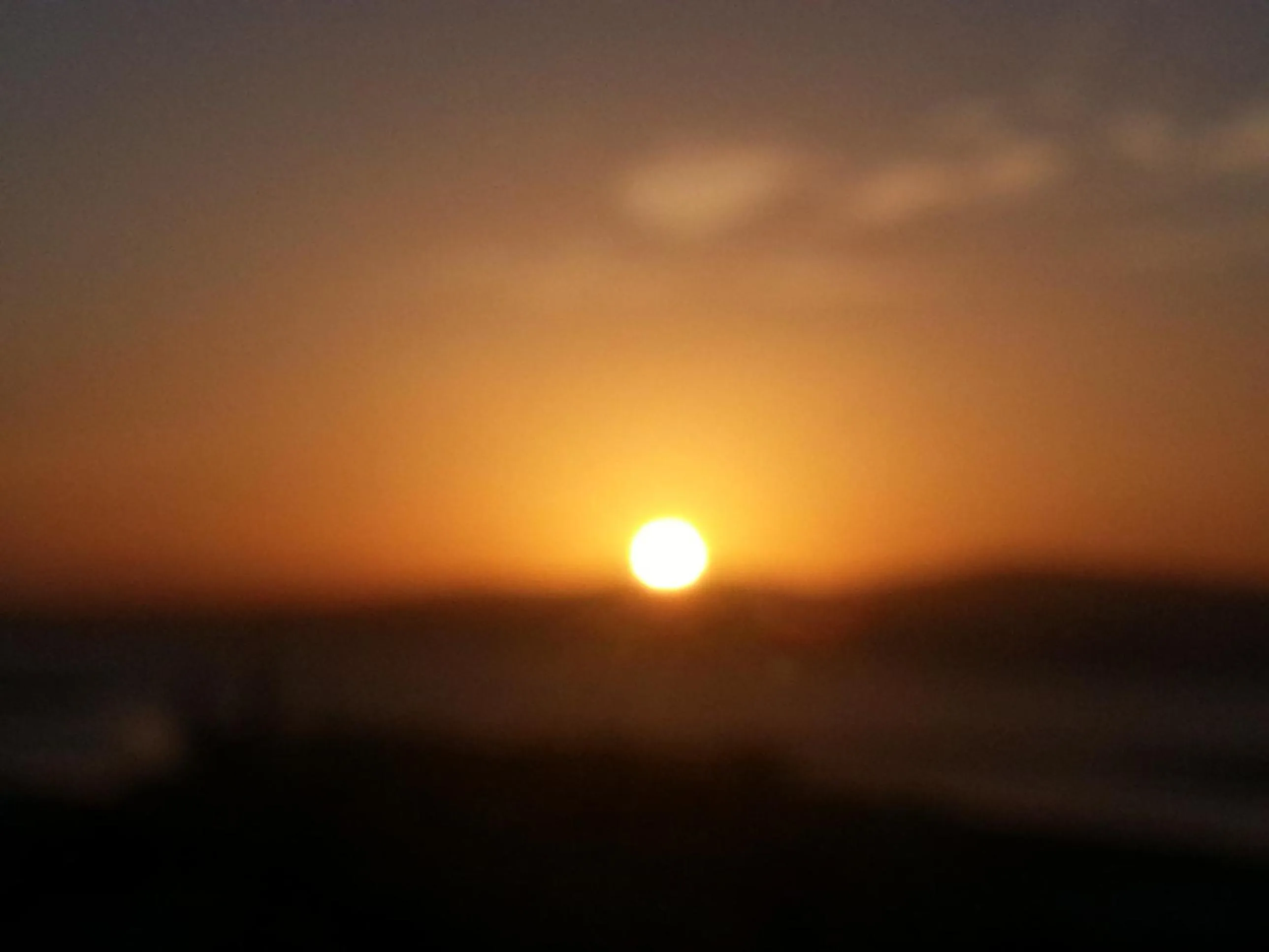 Area and facilities in Riad Eloise