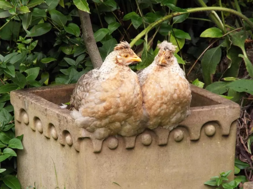 Other in Old Vicarage B&B