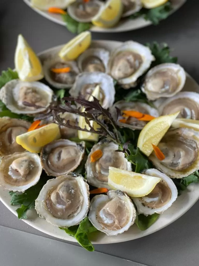 Restaurant/places to eat in Hotel & Cava Estancia Rilán