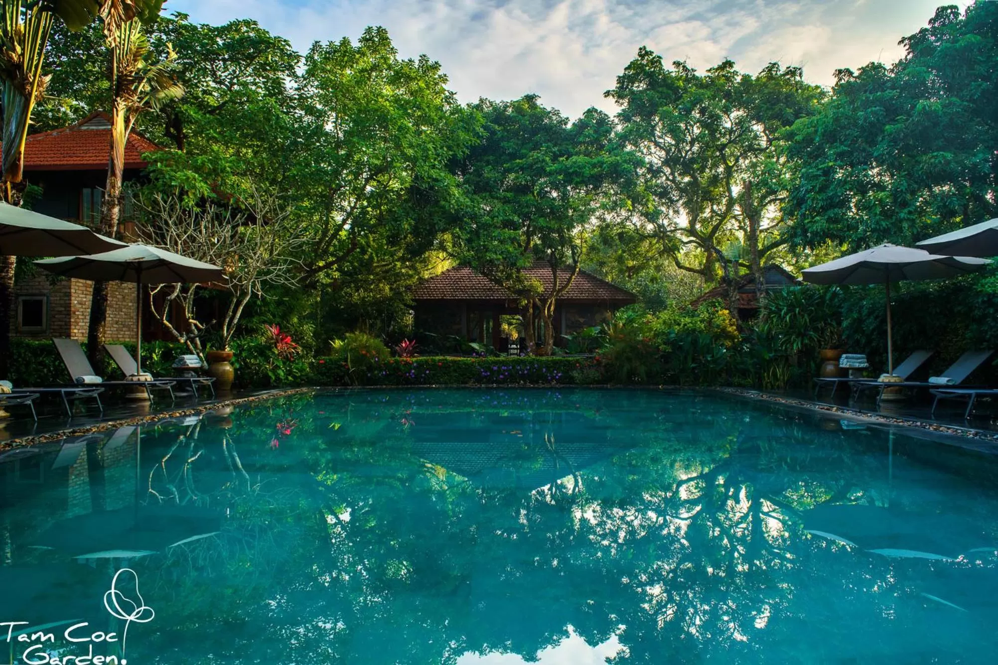 Swimming pool in Tam Coc Garden Resort
