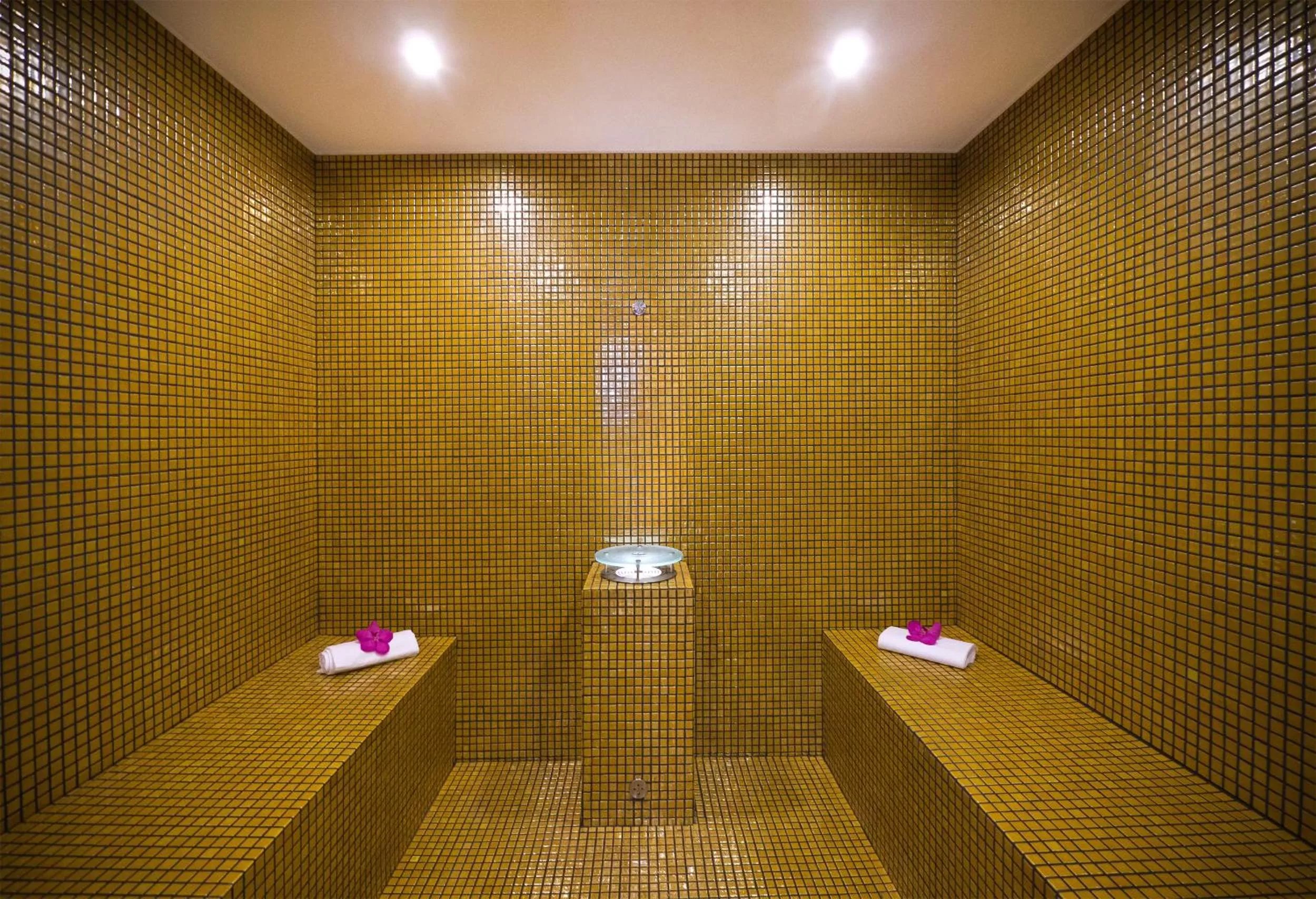 Steam room in Grandhotel Ambassador Národní Dům