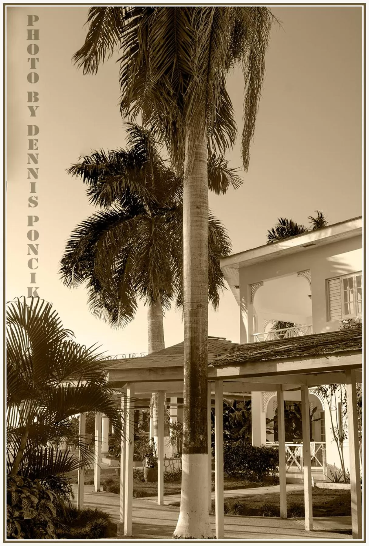 Beachcomber Club Resort