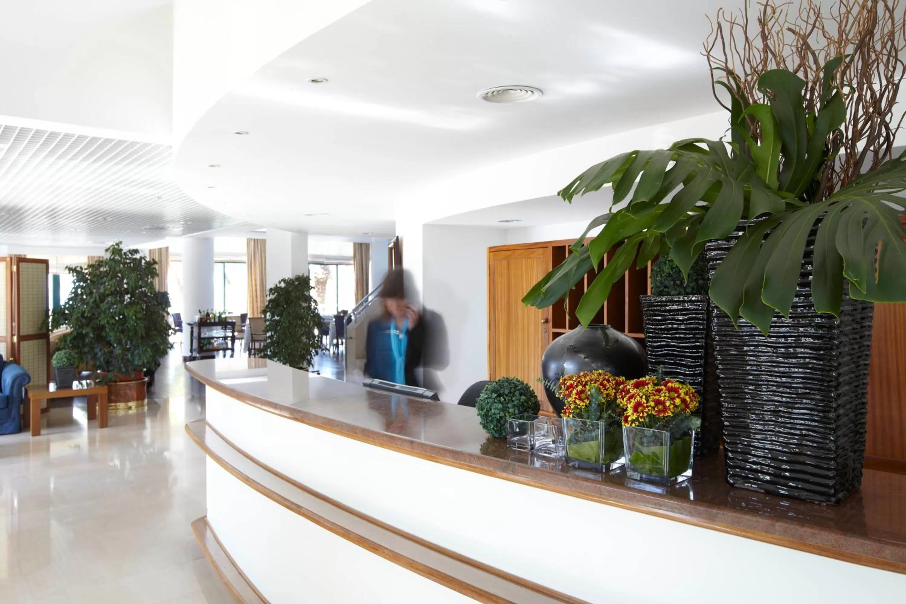 Lobby or reception in Hotel Escola