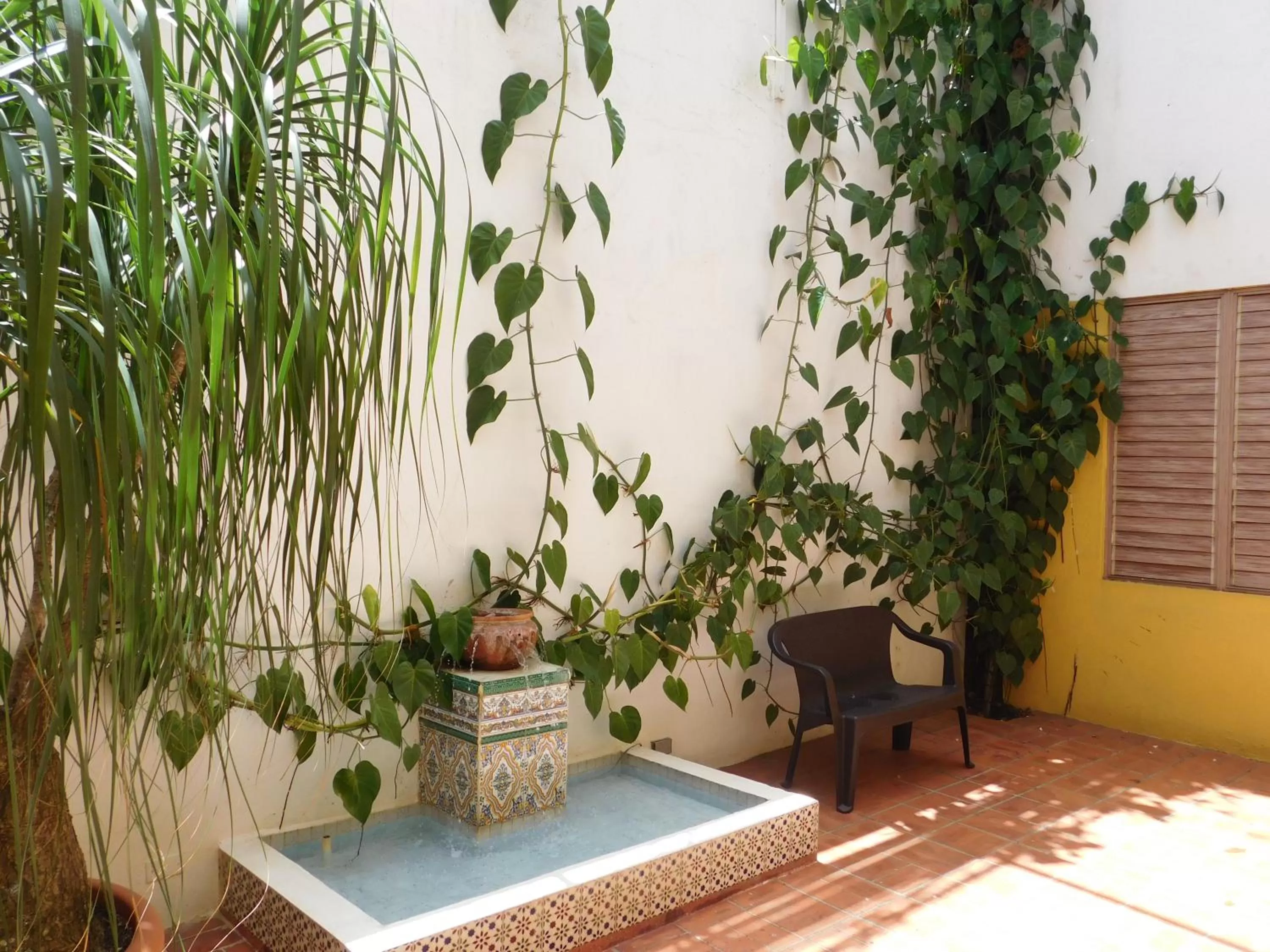 Patio in Residencial La Fonte