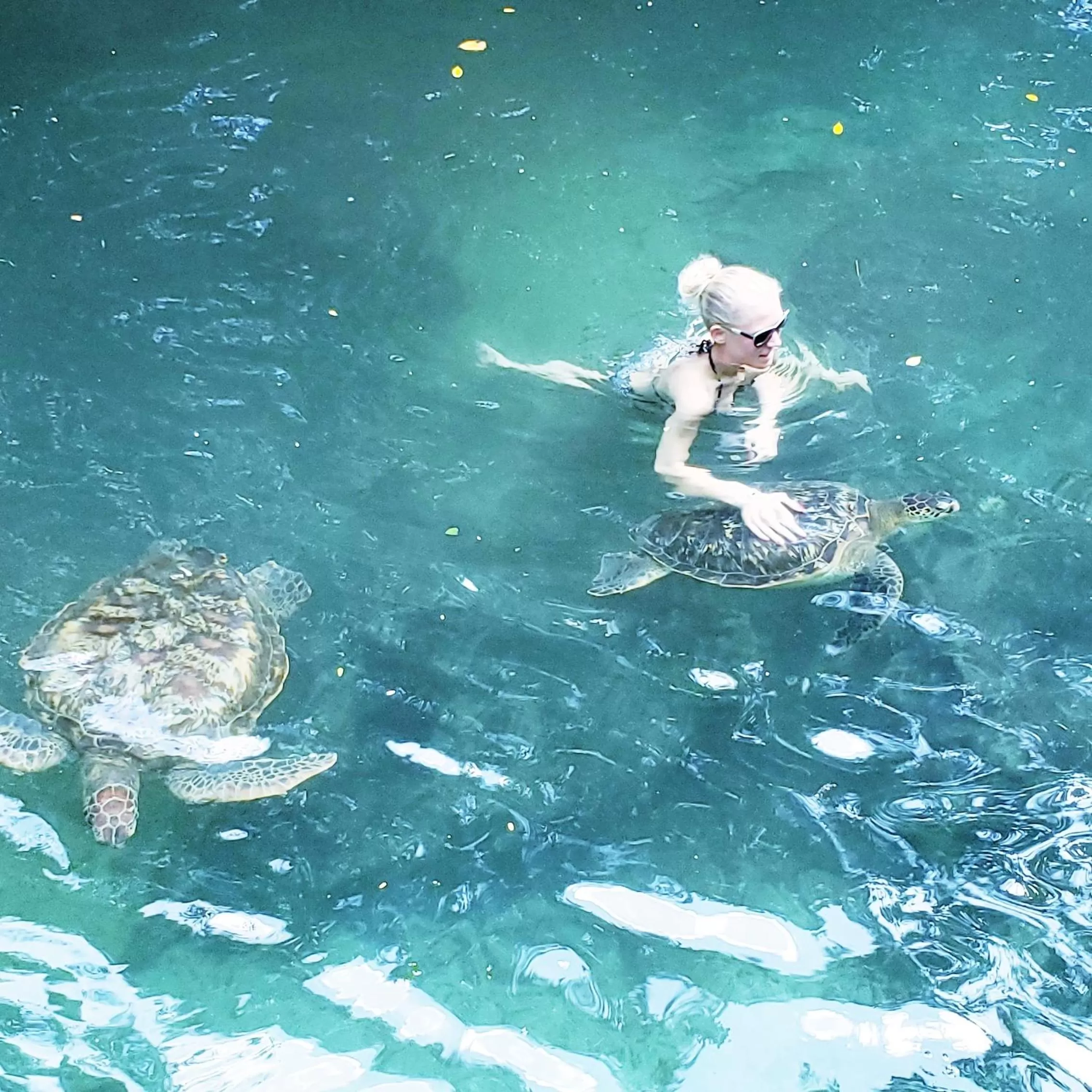 Baraka Aquarium Bungalows