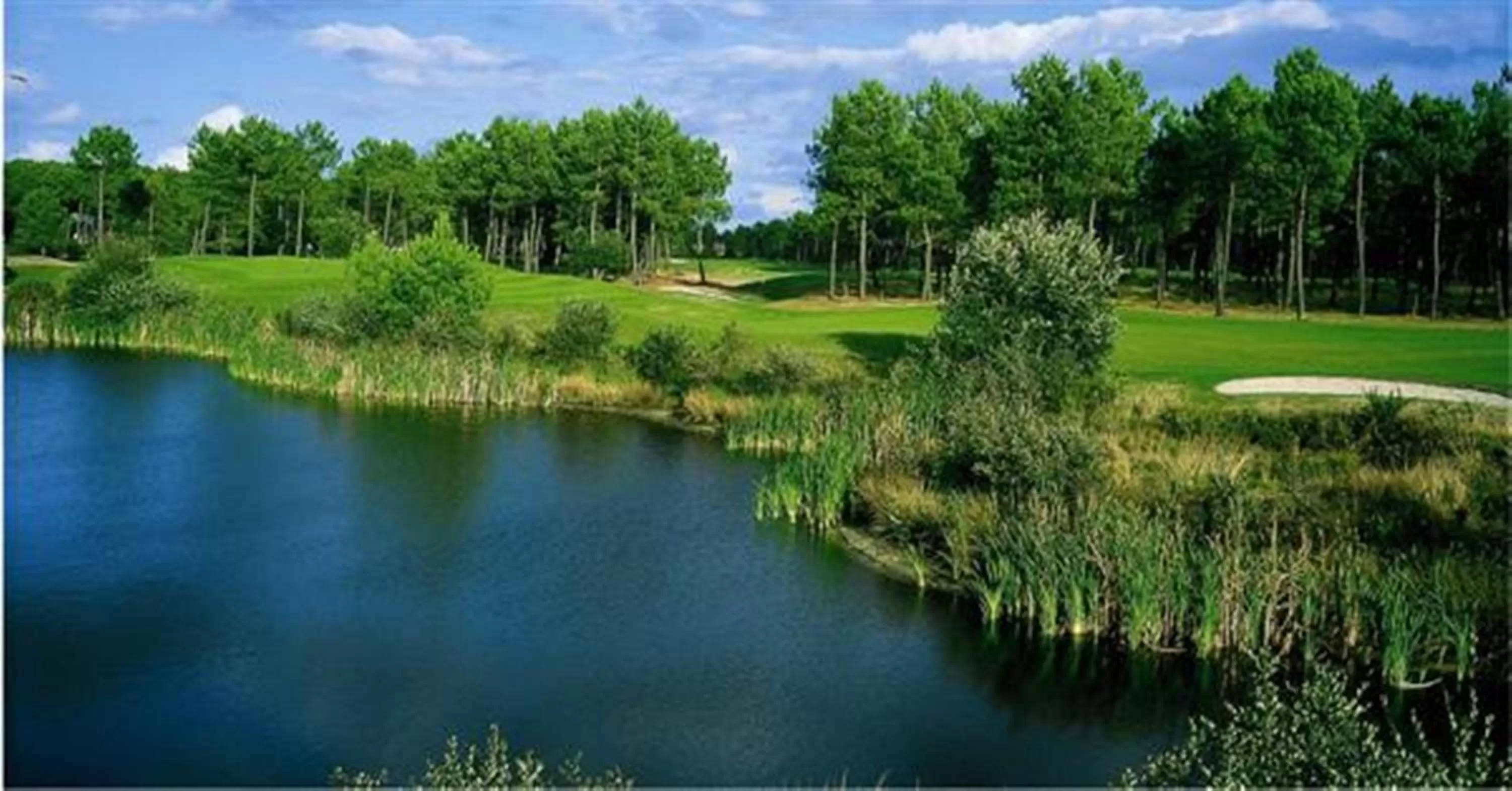 Golfcourse in Holiday Inn Bordeaux Sud - Pessac by IHG